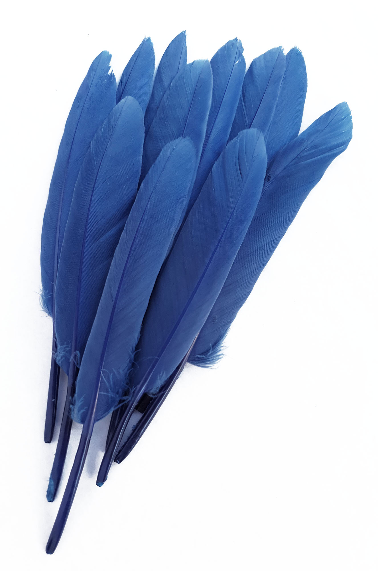 Plumes D'Épaule D'Oie - Hareline - Premium - Assorties - 30 Paires (10 Paquets)