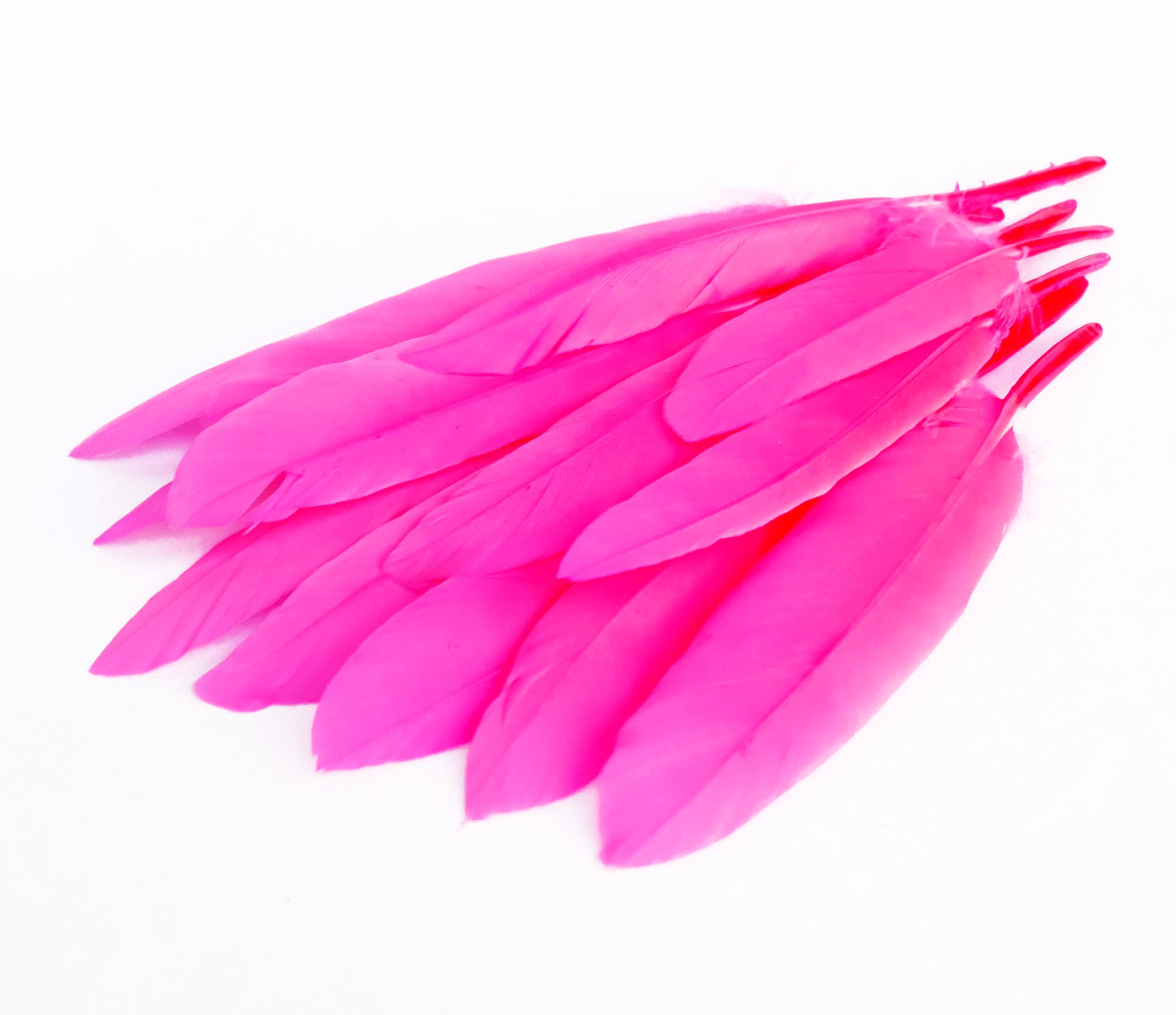 plume palette doie petite rose fluo