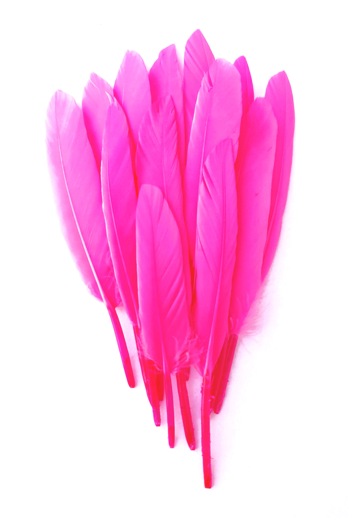 plume palette doie rose fluo