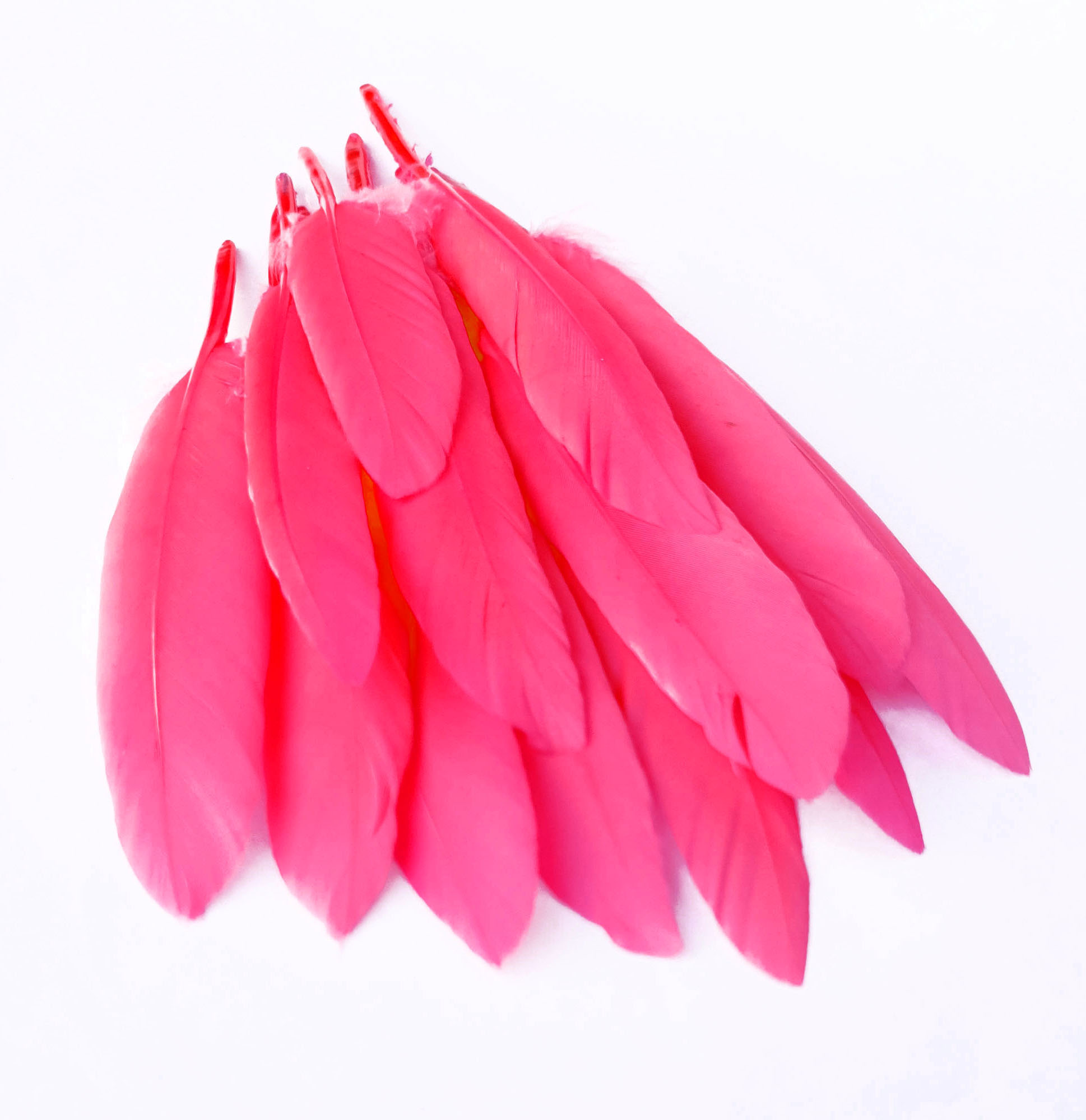 plume palette doie corail fluo