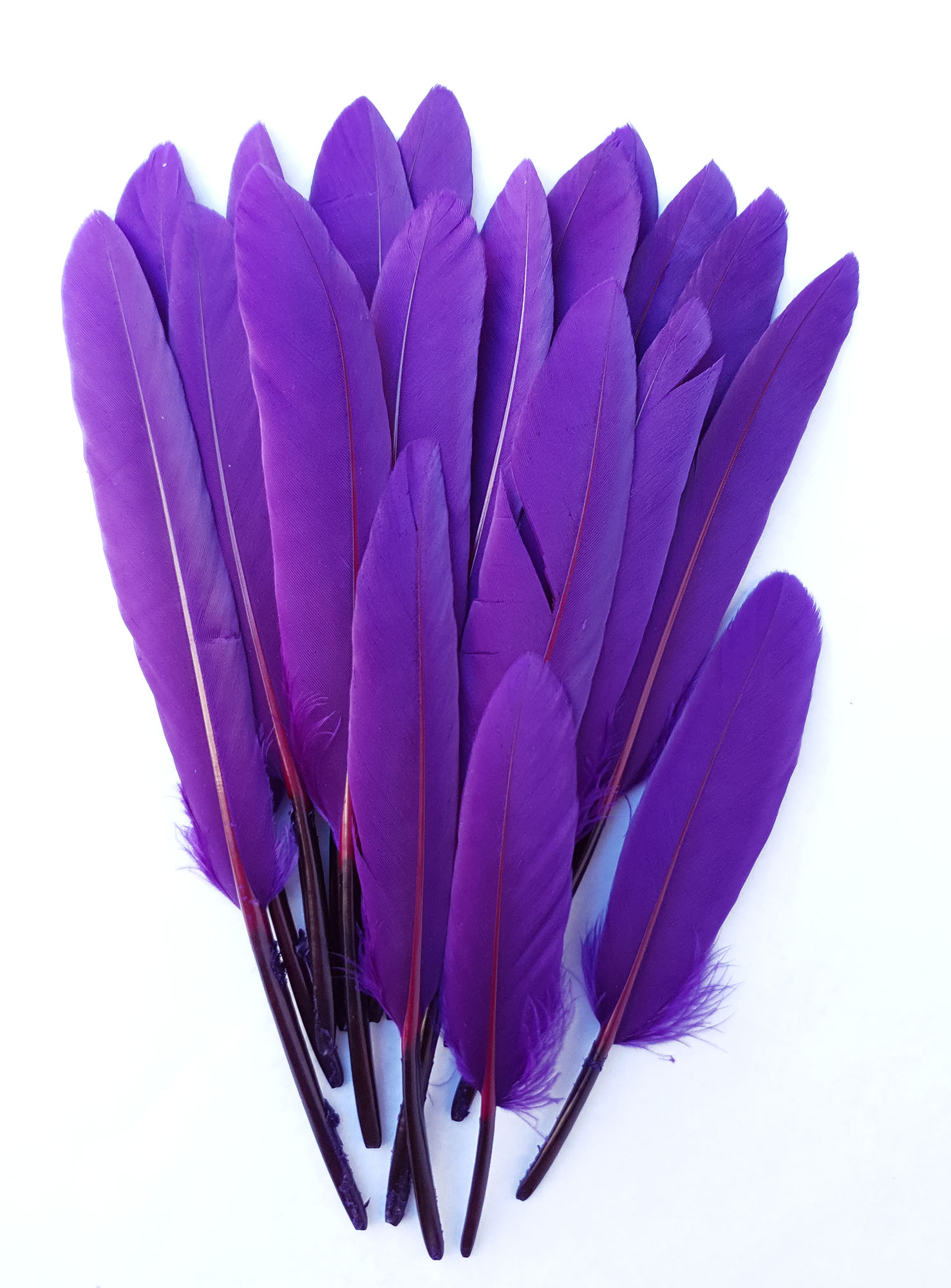 plume palette doie petite violet iris