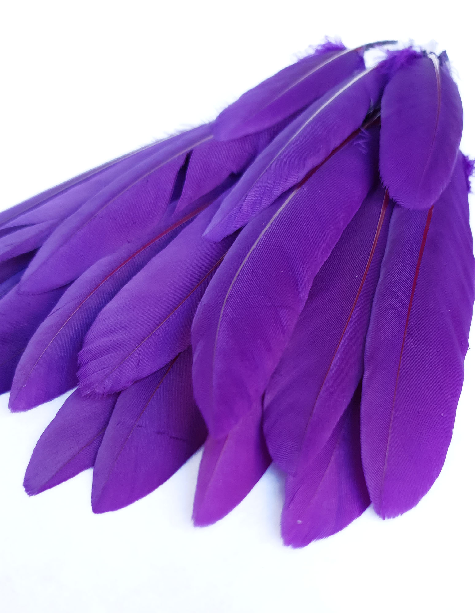 plume palette doie violet iris