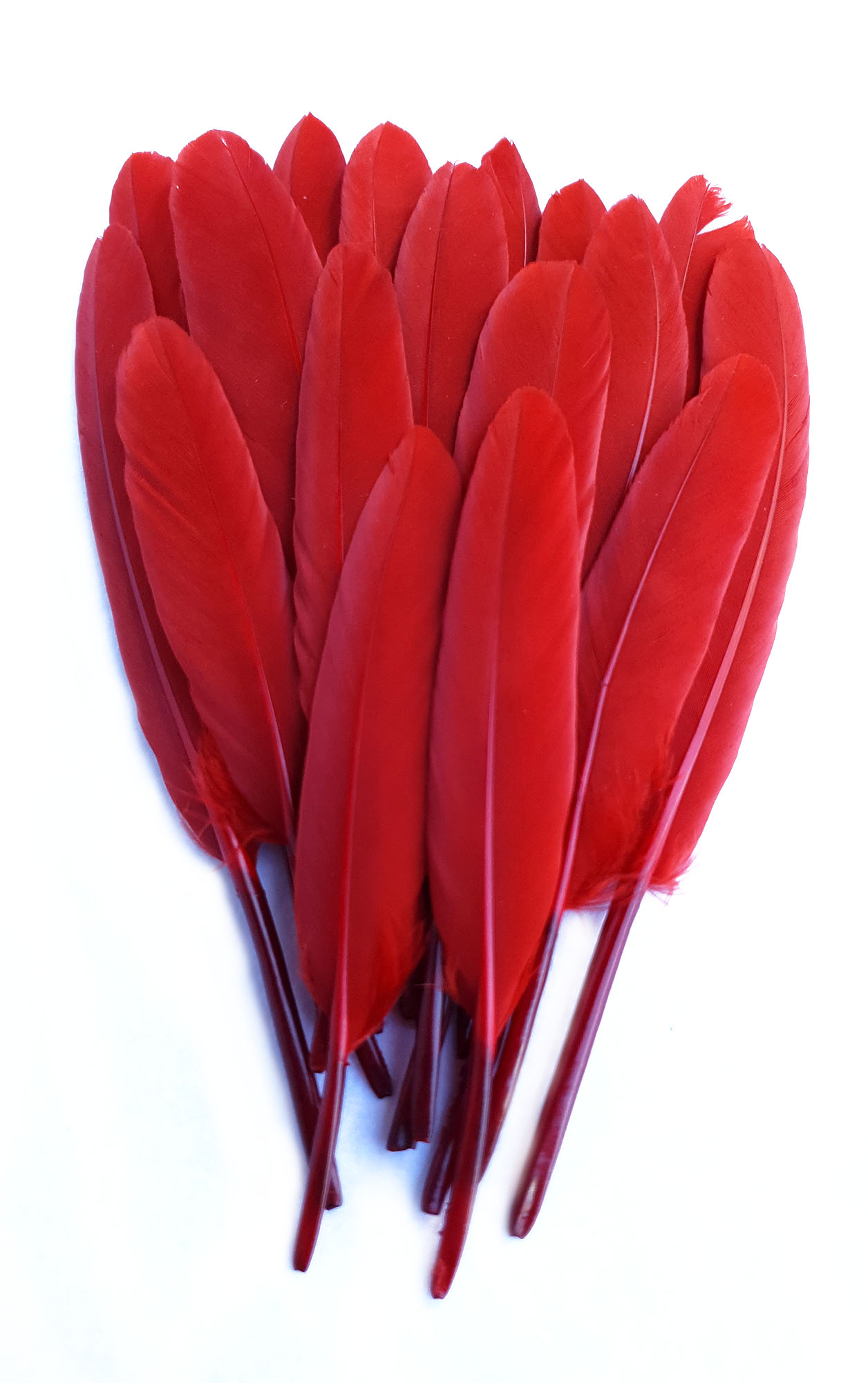 plume palette doie rouge