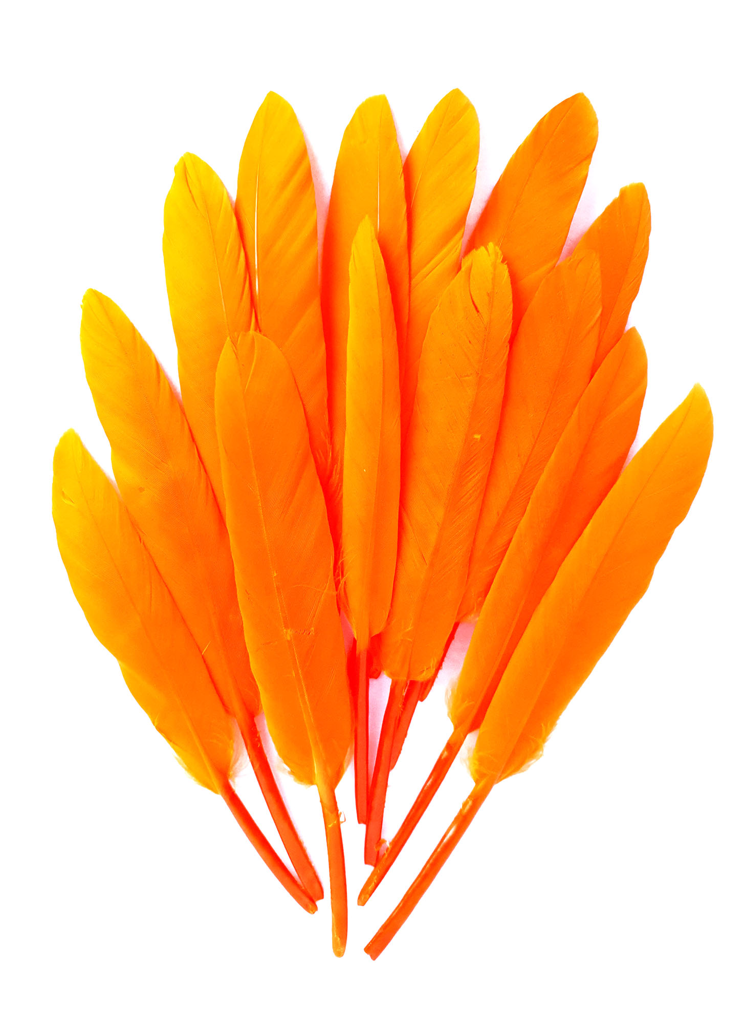 plume palette doie orange fluo