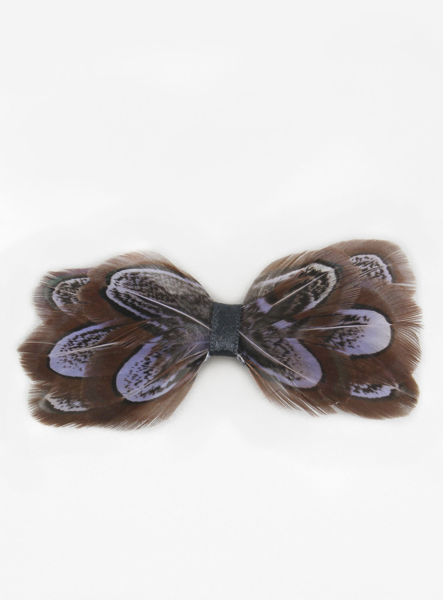 broche noeud plume faisan commun parme