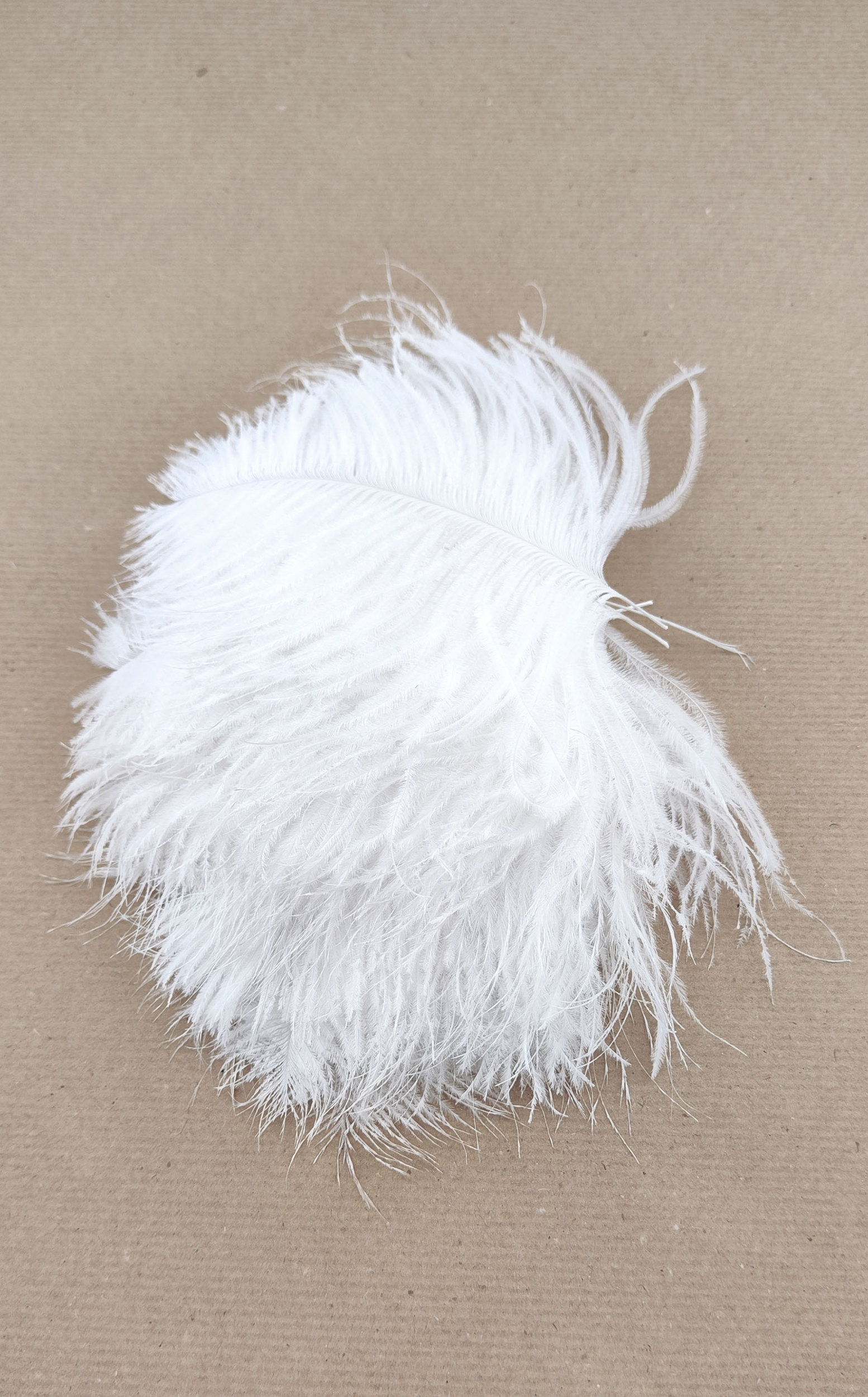 plume autruche mini blanc de qualite