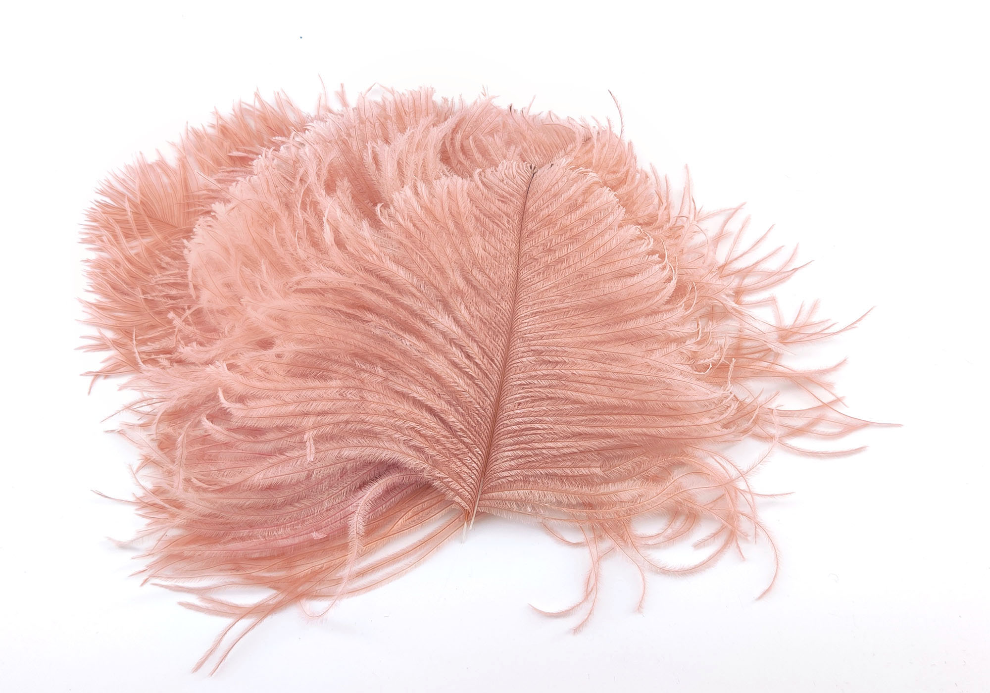 plume autruche mini poudre