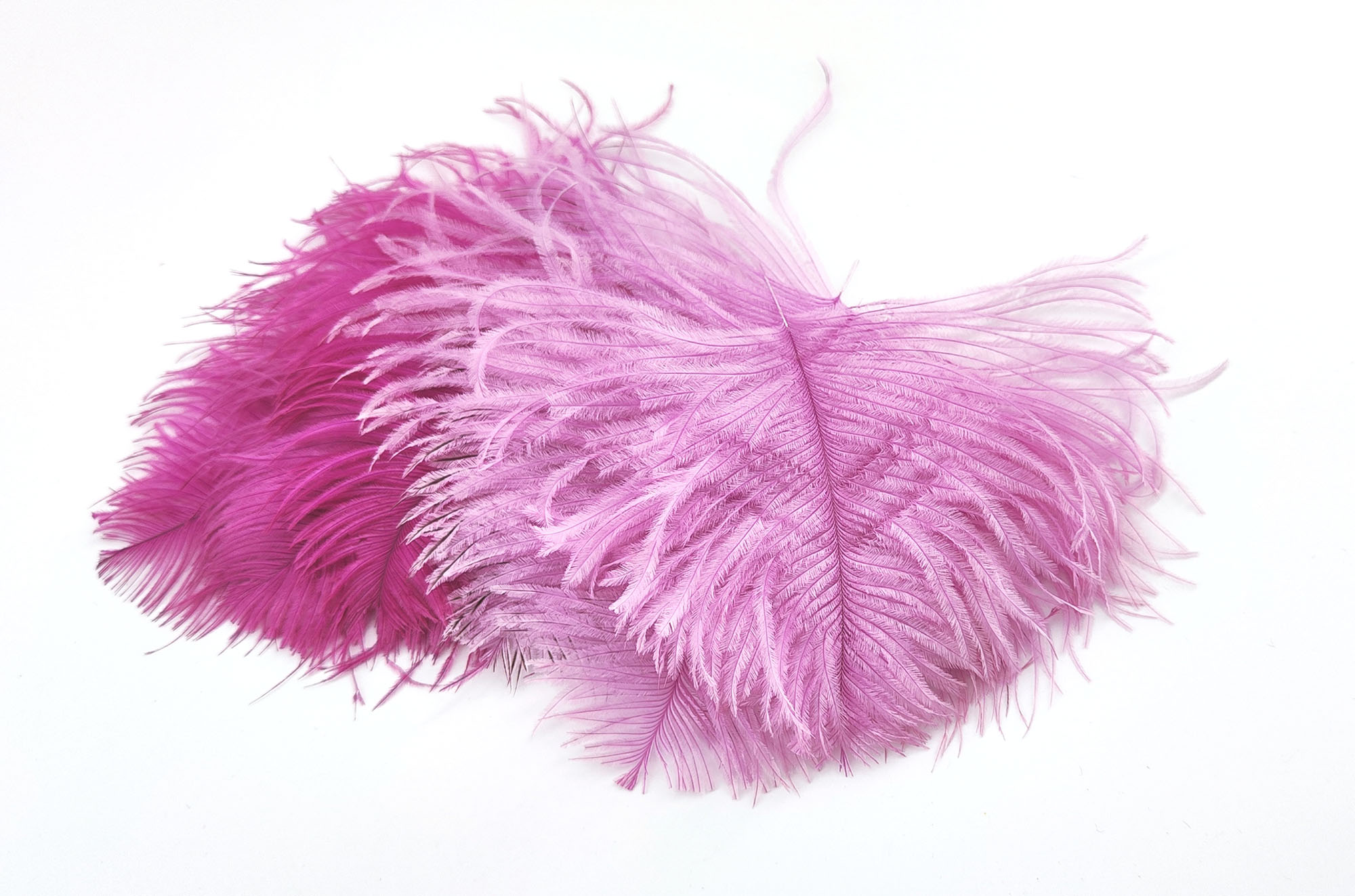 Lot De 6 Plumes D'autruche Naturelles – Couleurs Variées – Pour Déco, Costumes, Créations