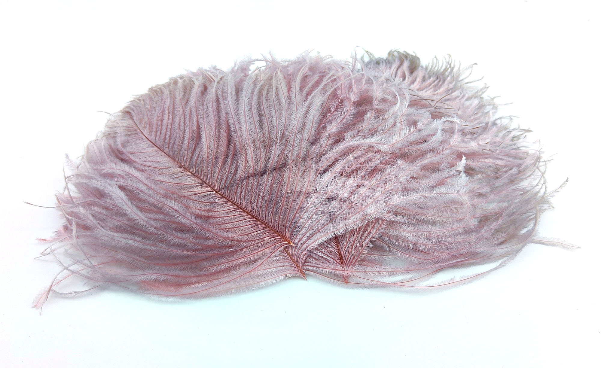 plume autruche mini rose grise de qualite