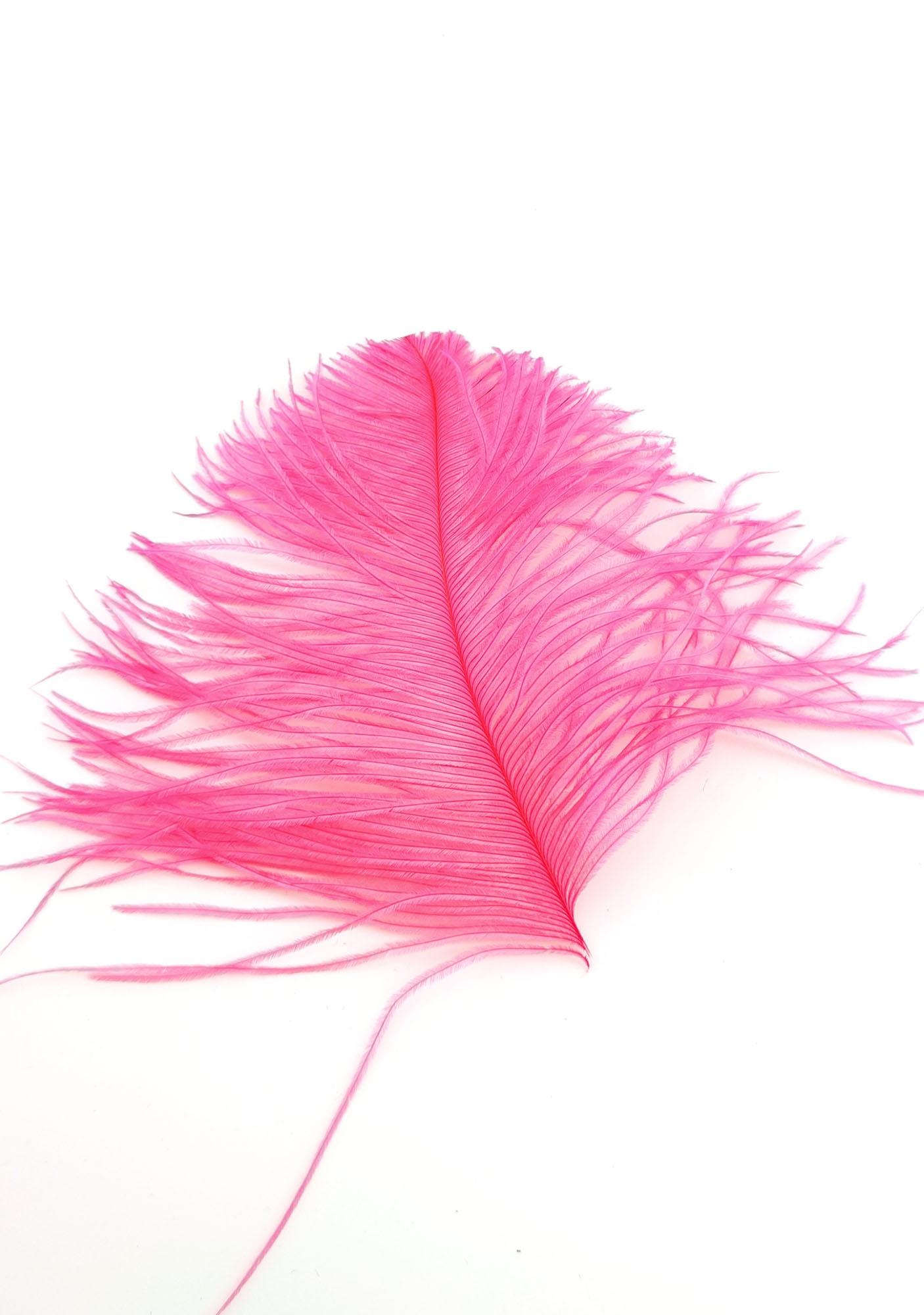 plume autruche mini corail fluo