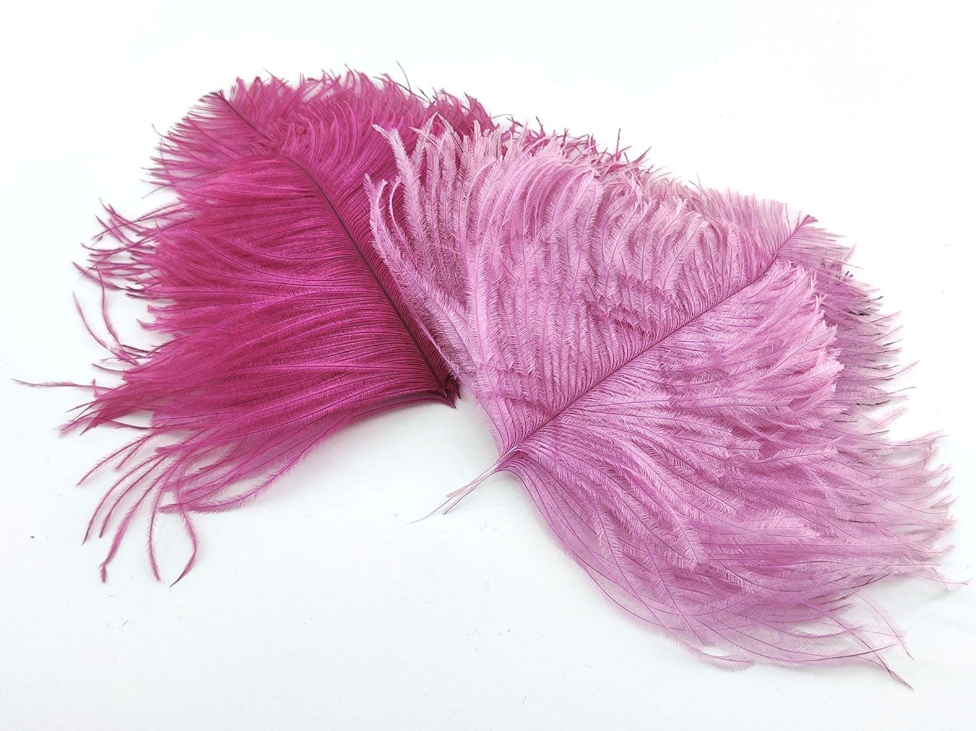 plume autruche mini rose horthensia de qualite