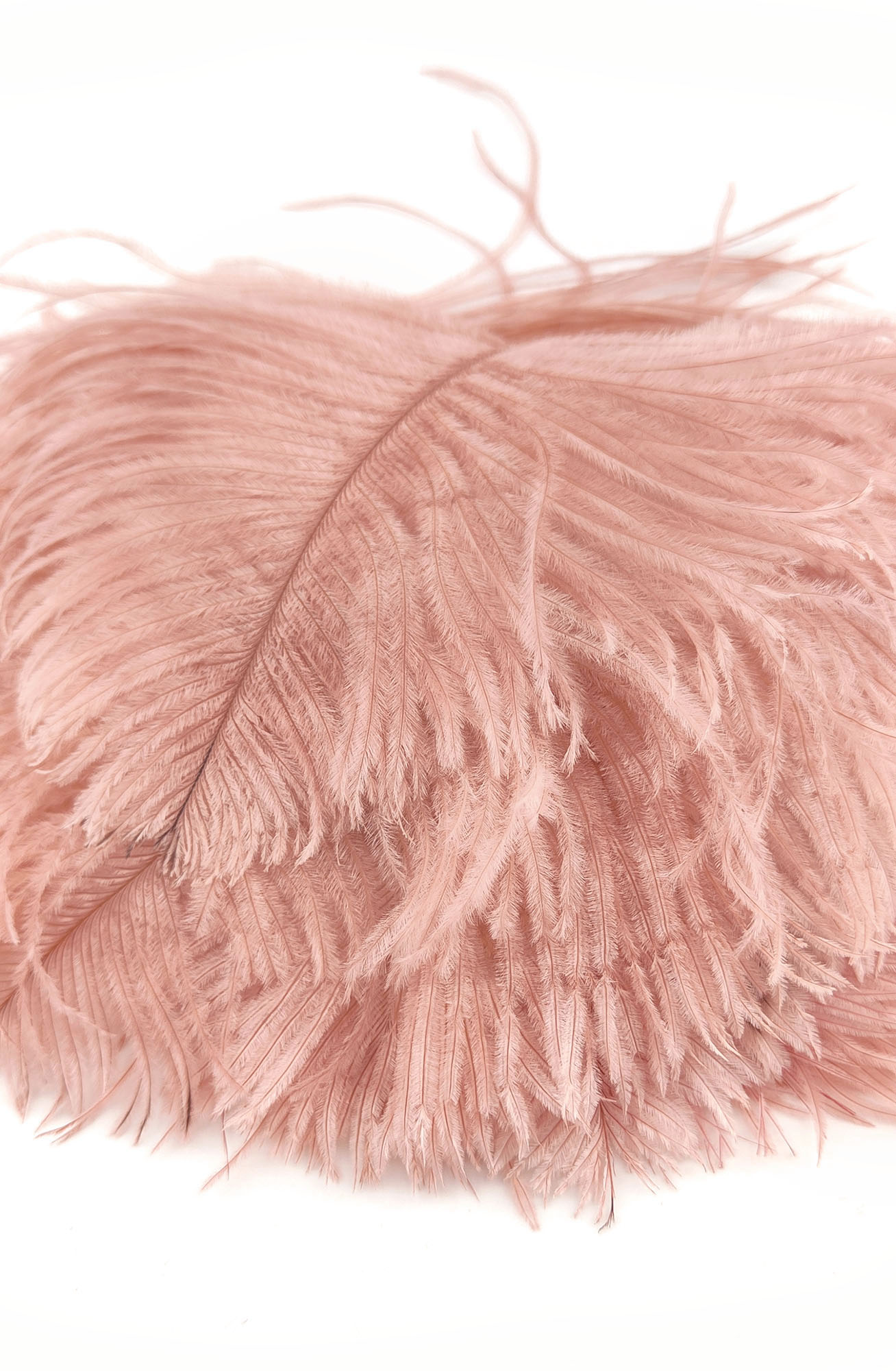 plume autruche mini rose poudre
