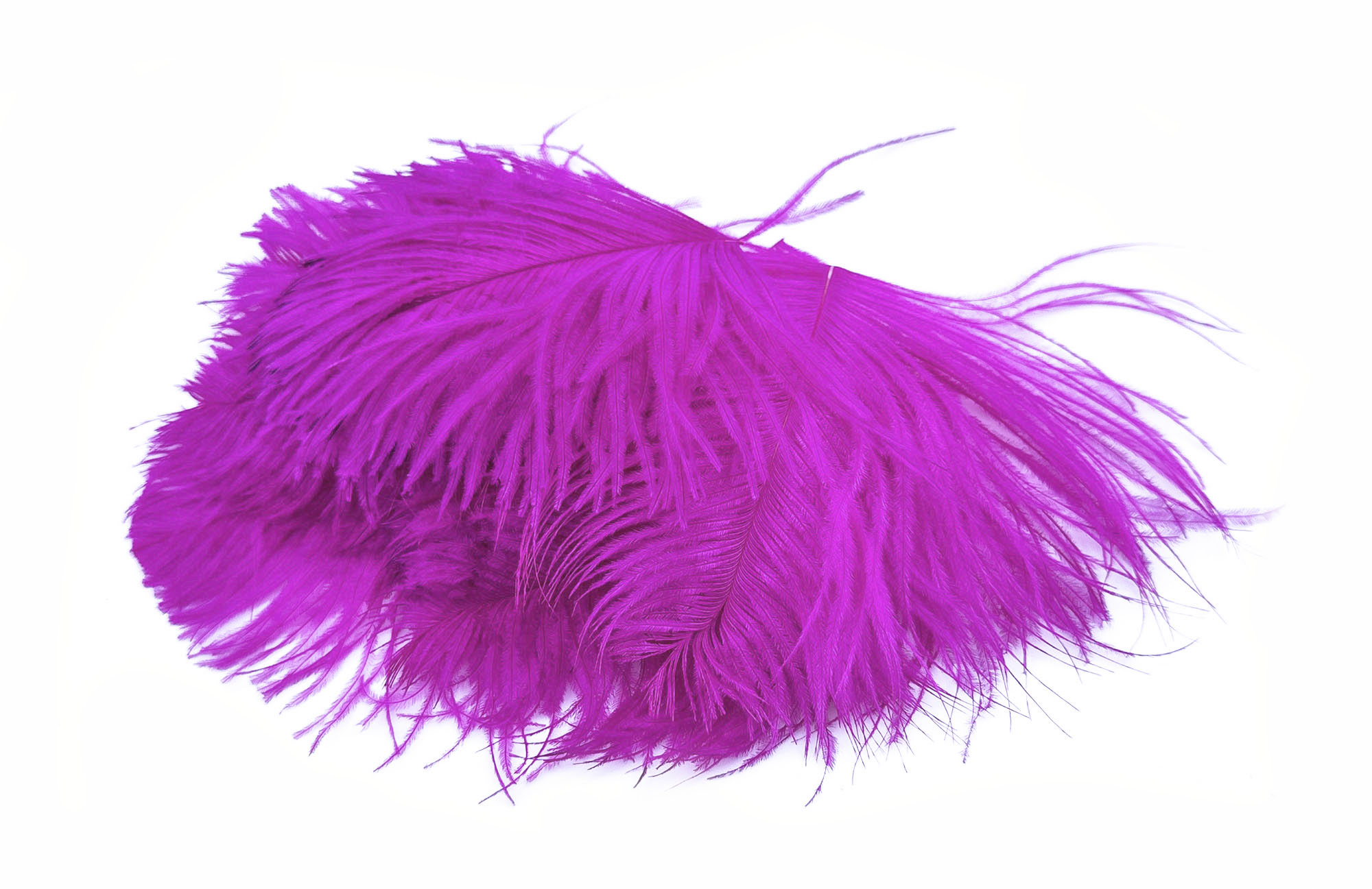 plume autruche mini fushia de qualite