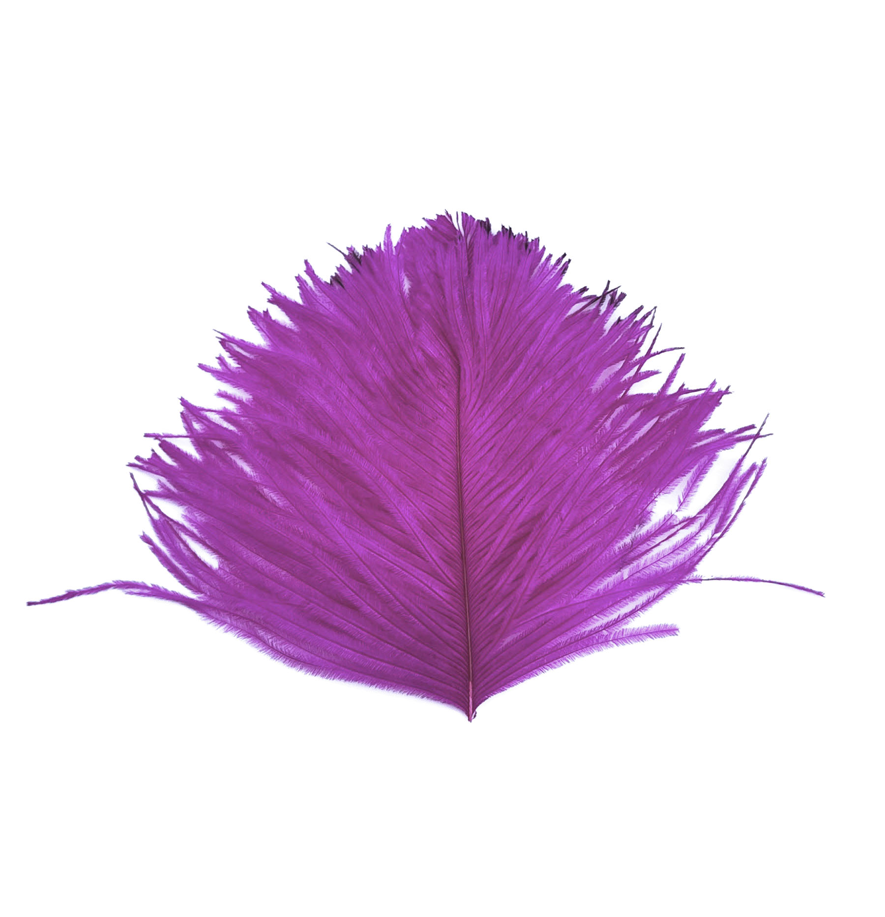 plume autruche mini fushia