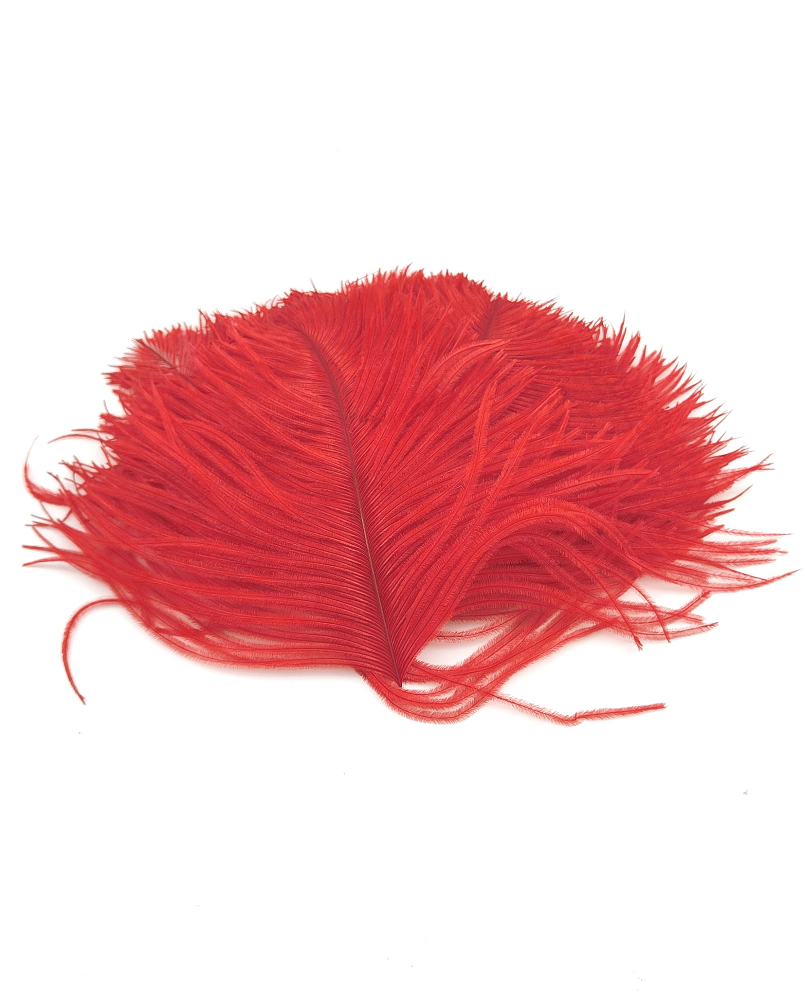 plume autruche mini rouge jolie