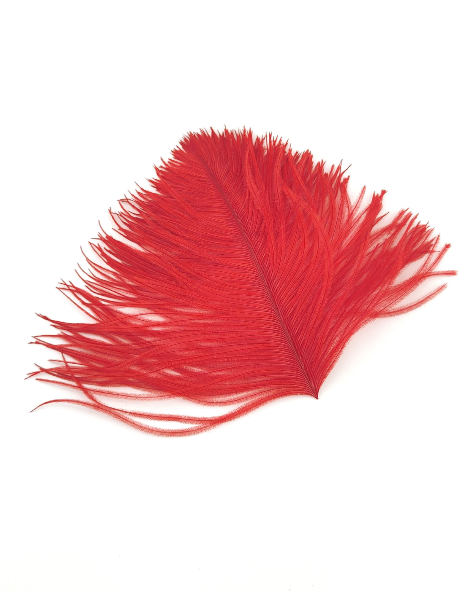plume autruche mini rouge