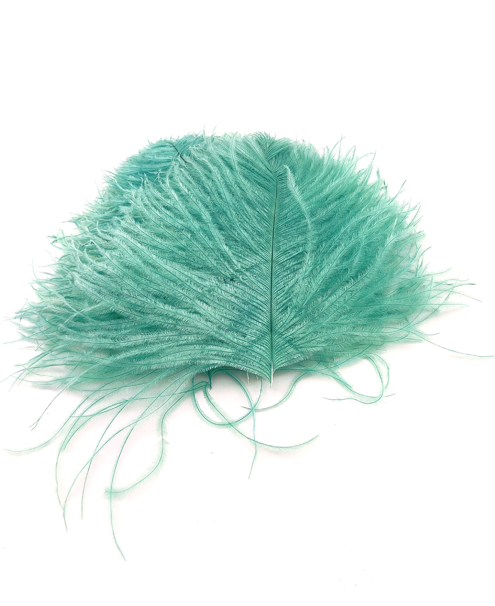 plume autruche mini celadon
