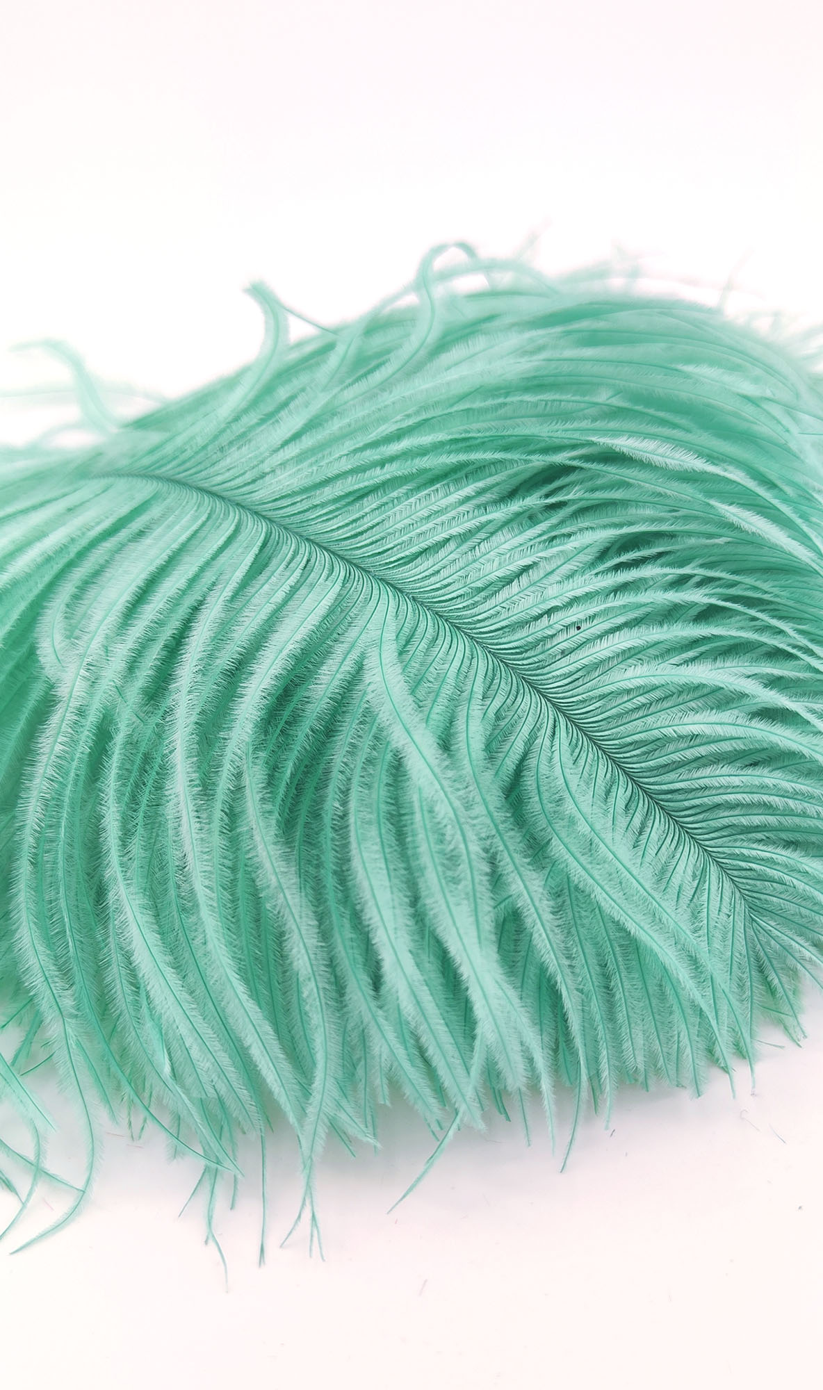 plume autruche mini vert celadon