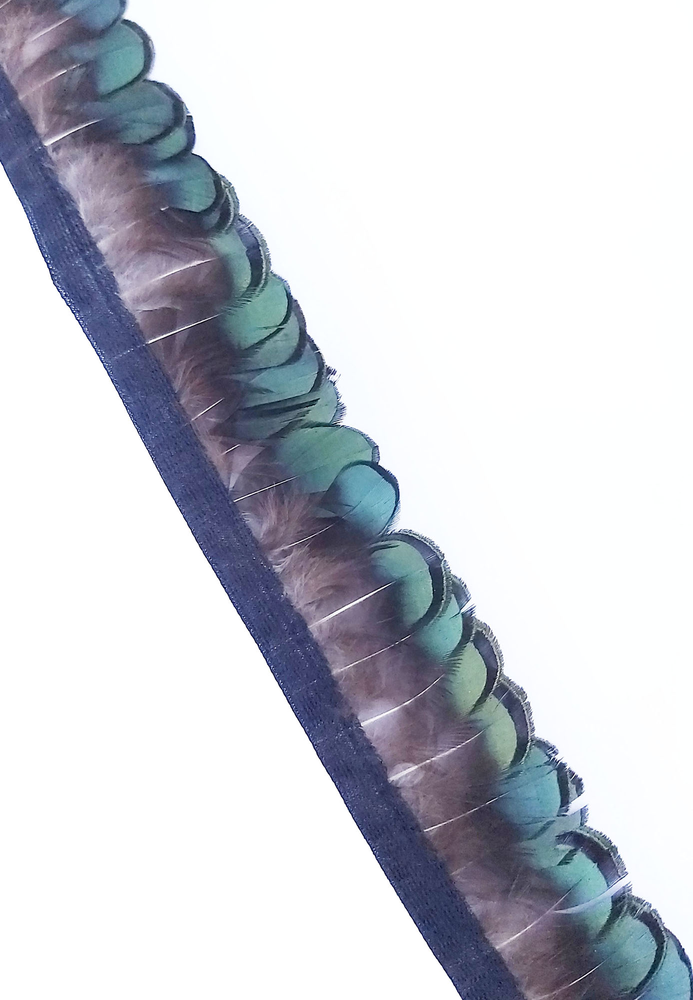 frange plume faisan lady vert
