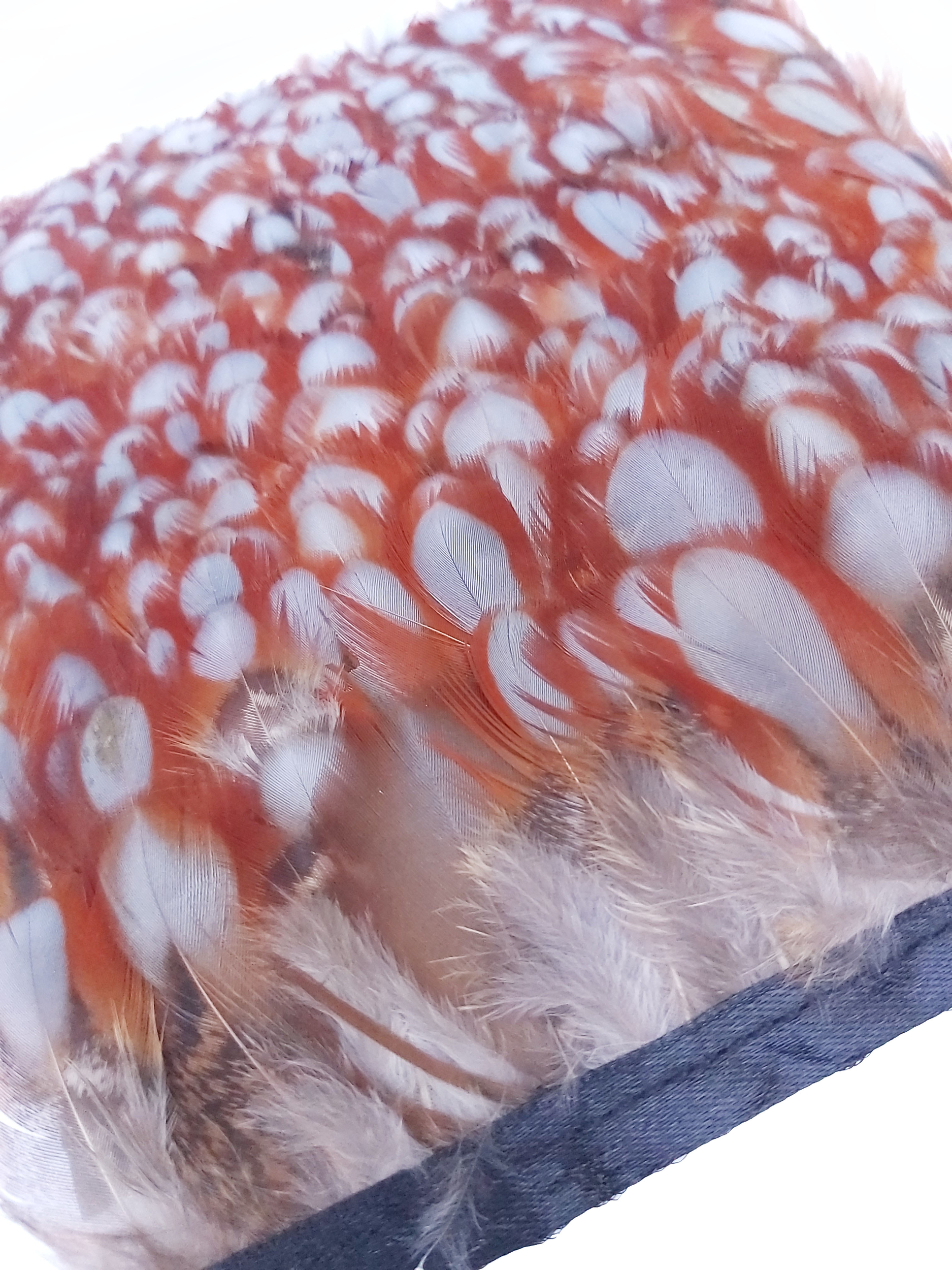 galon plume faisan rouge gris