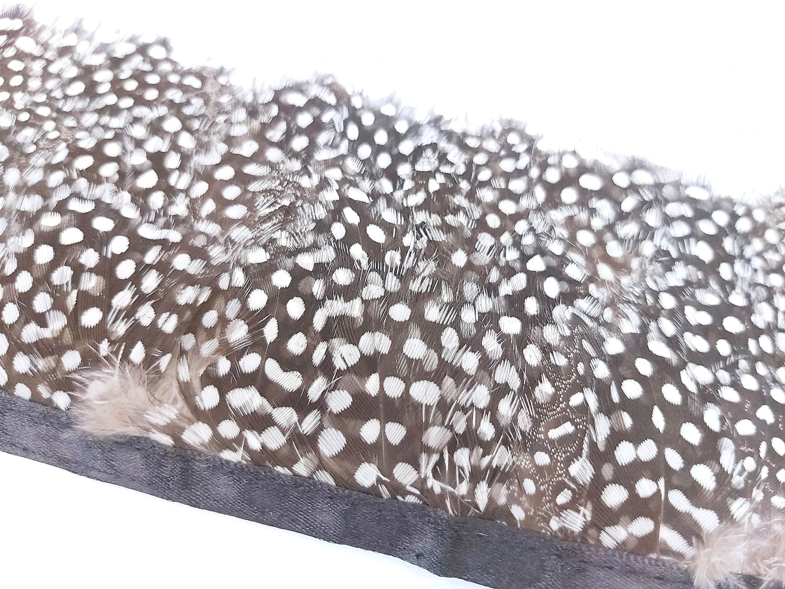 frange plume points naturel