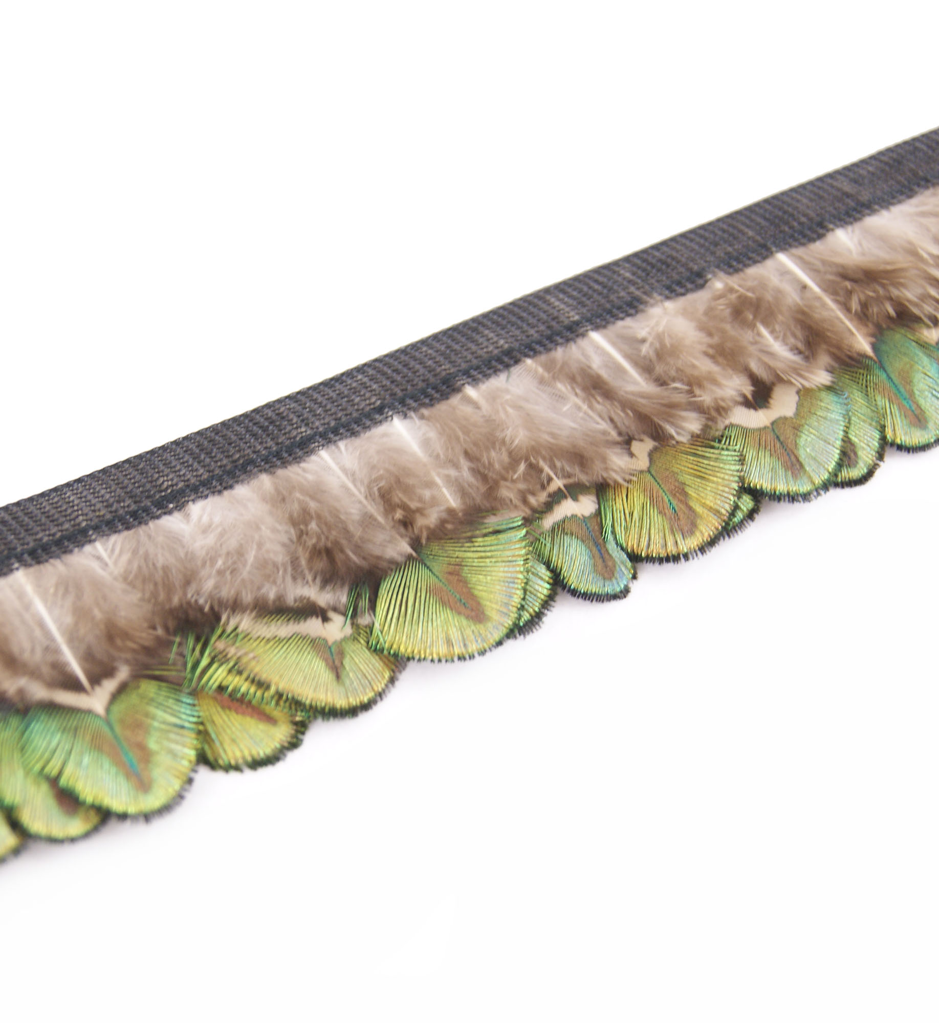 galon plume paon vert naturel