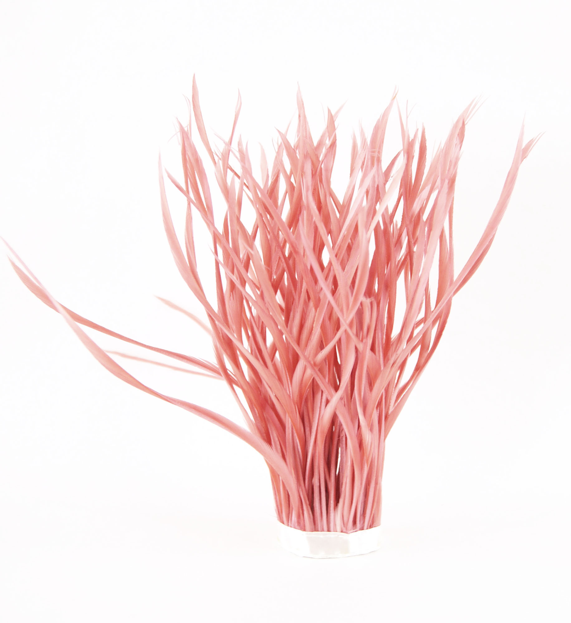 frange plume biot doie rose indien de qualite