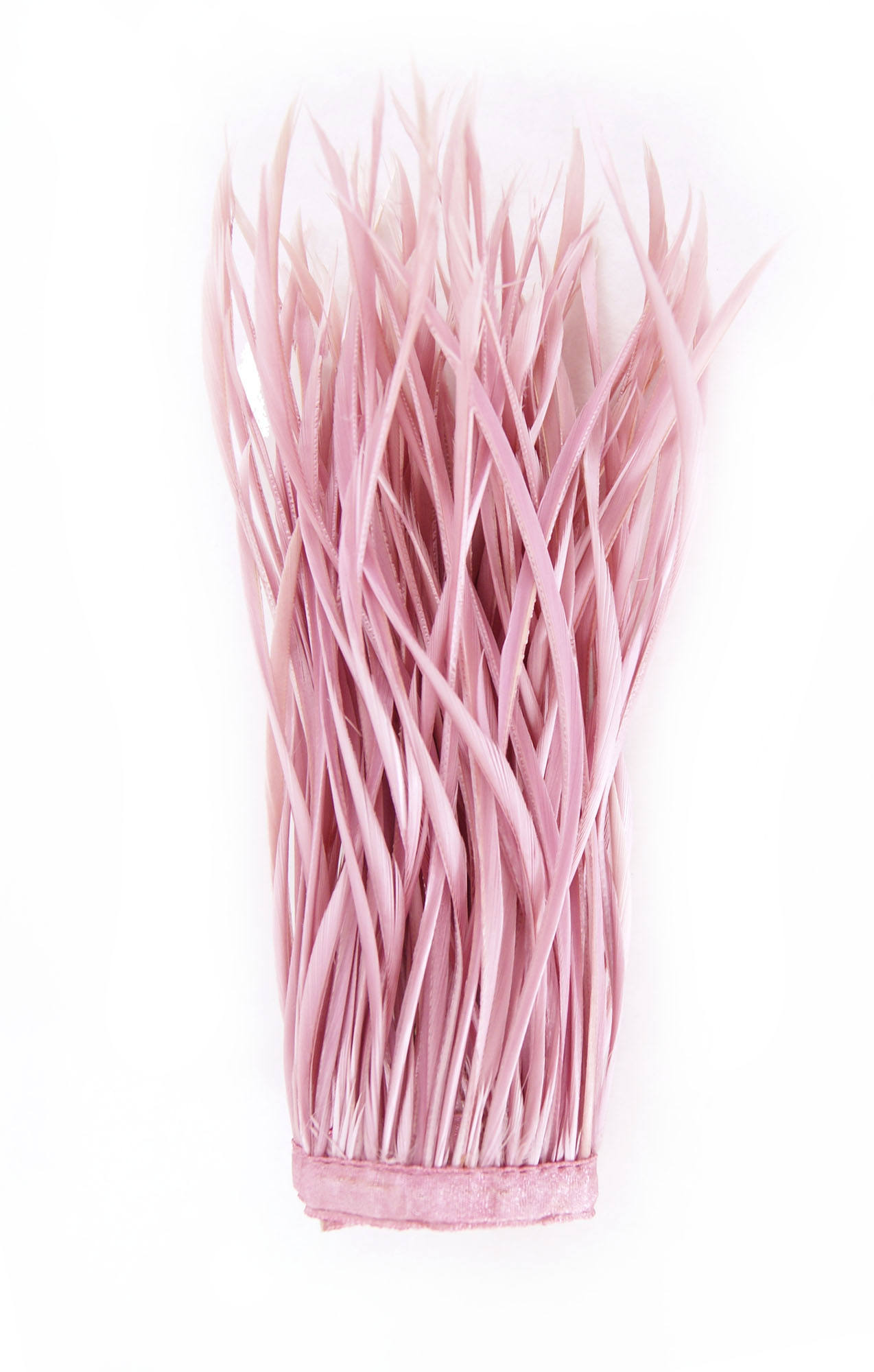 frange plume biot doie rose buvard