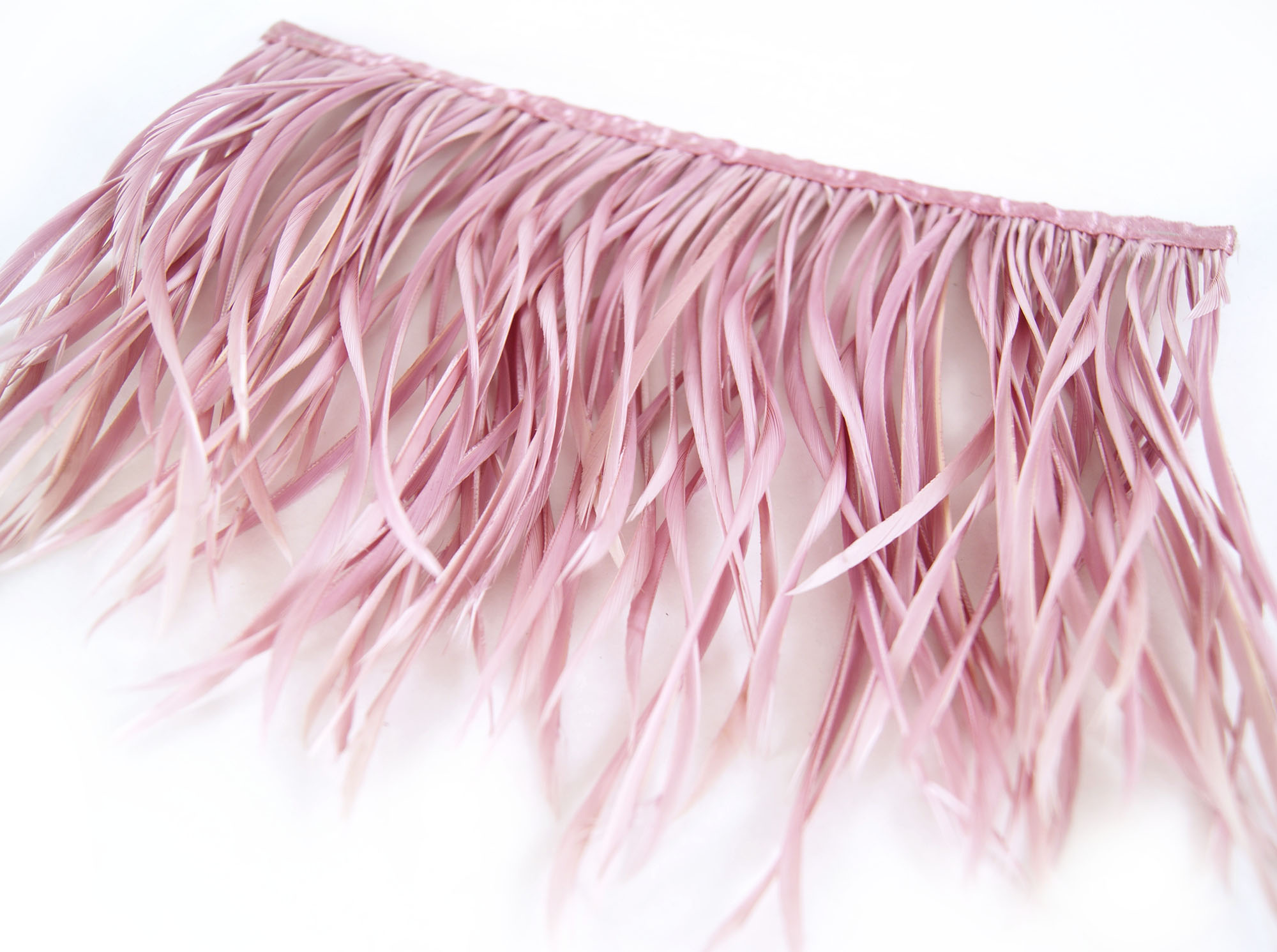 galon plume tige doie rose buvard