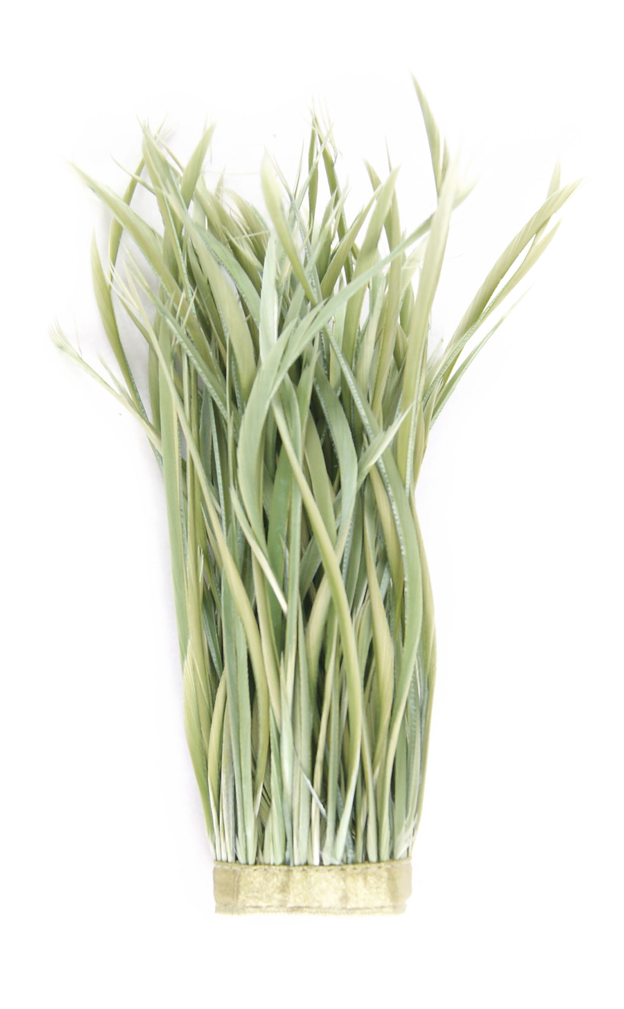 frange plume biot doie vert celadon