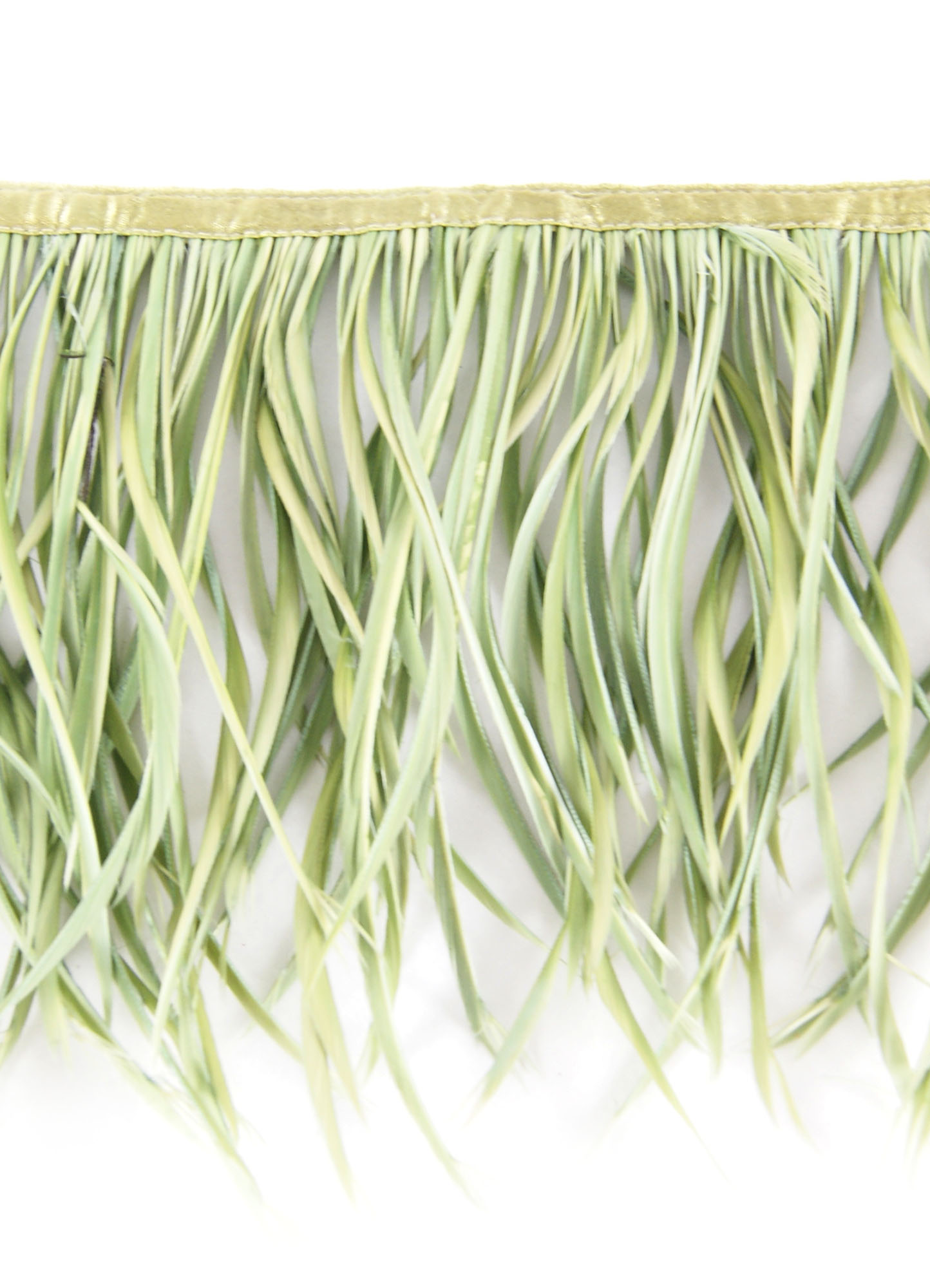 galon plume tige doie vert celadon