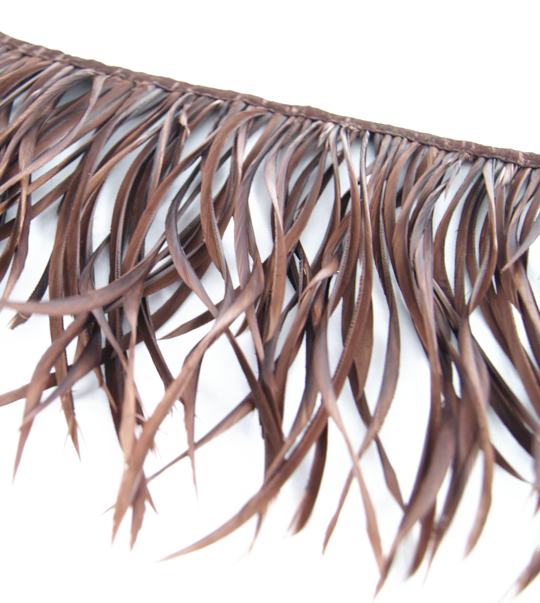 galon plume tige doie marron