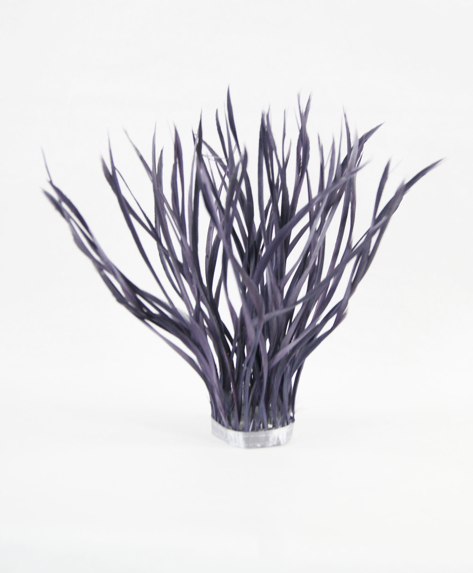 galon plume tige doie mauve
