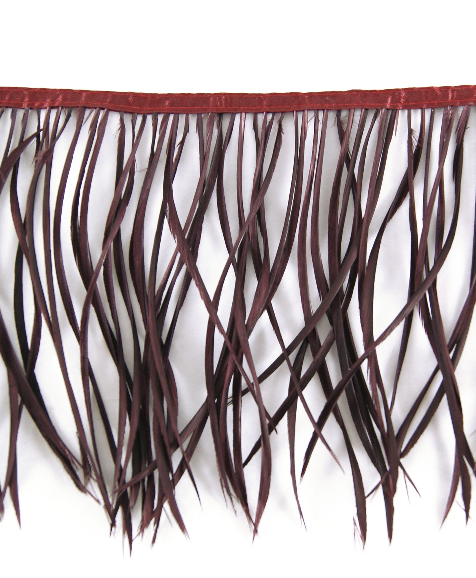 frange plume biot doie prune