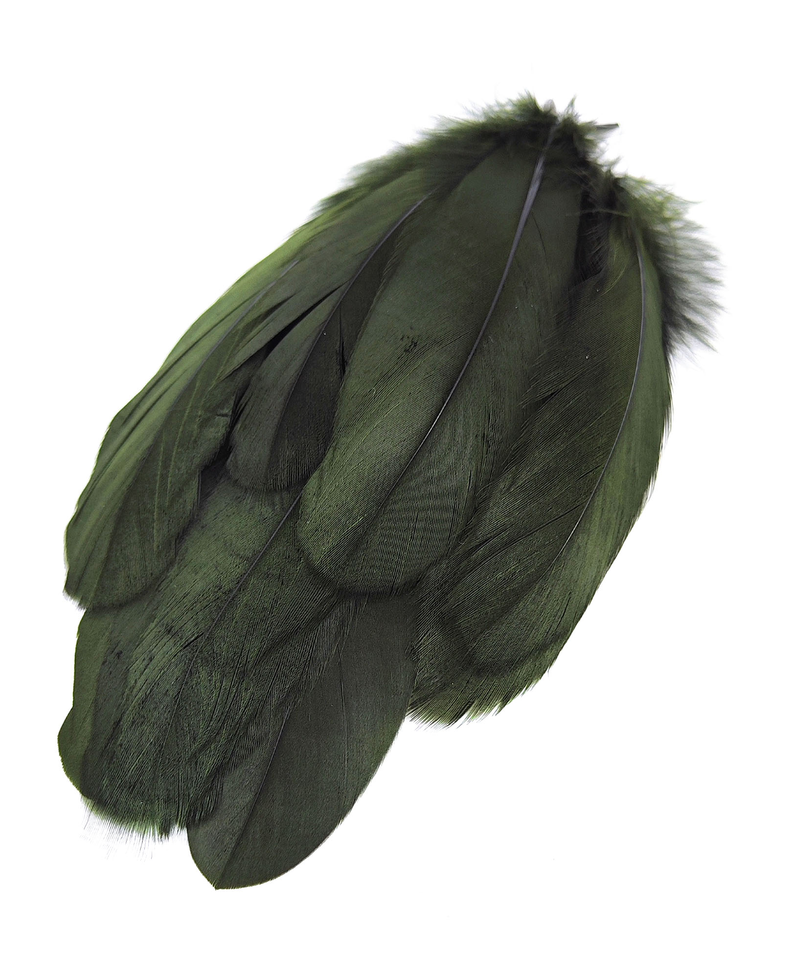 plume nageoire doie vert foncé