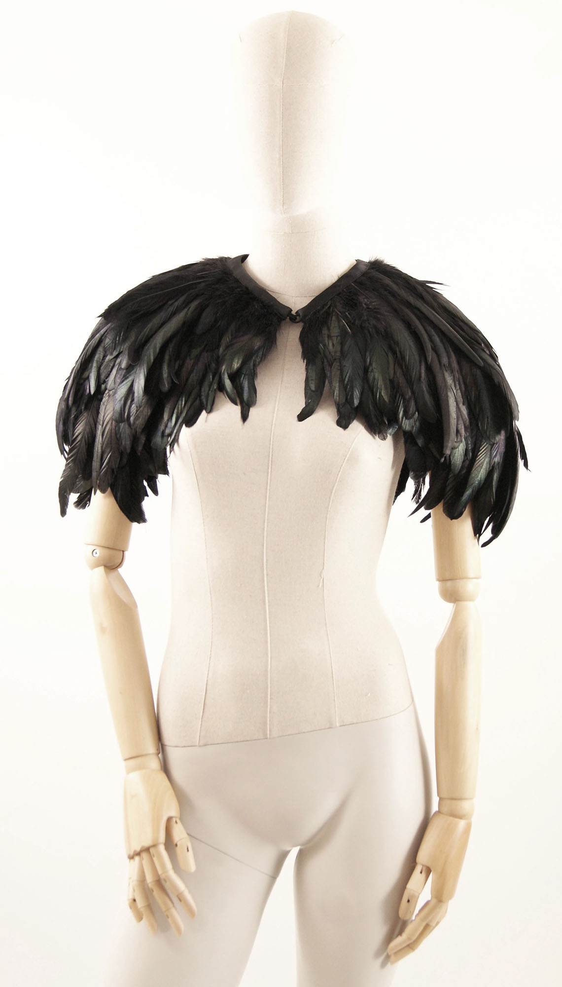 etole plume coq noir brillant