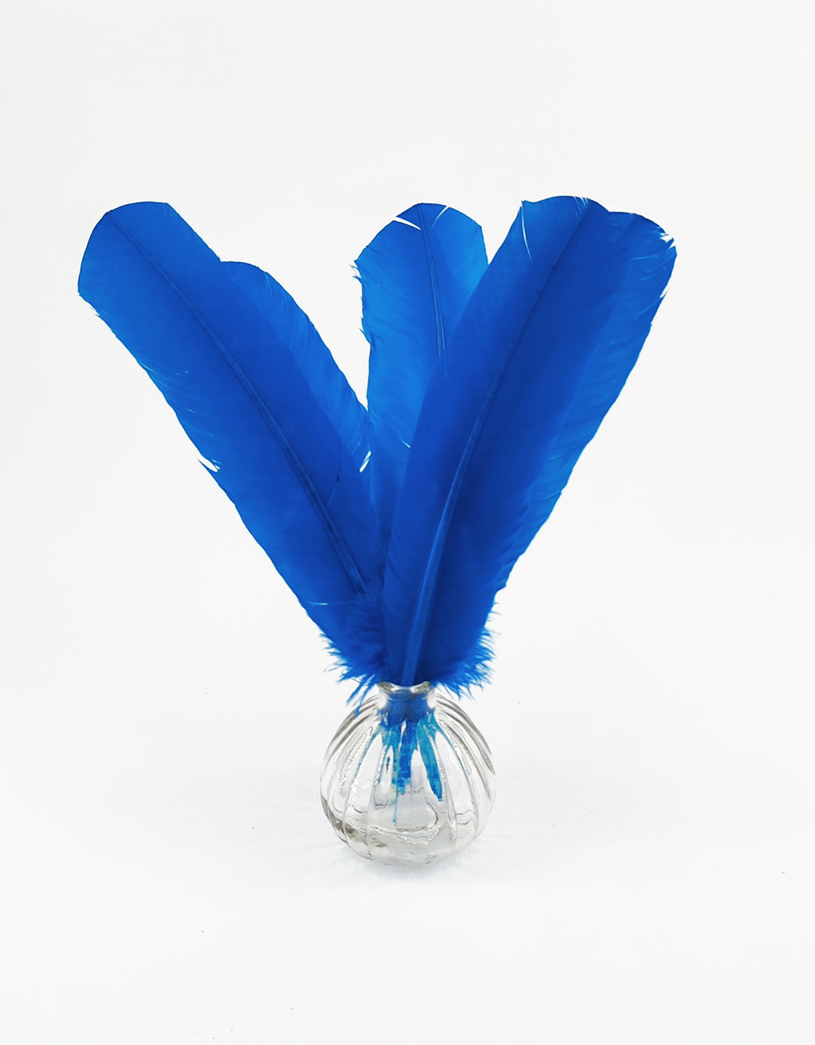 plume palette de dinde rigide bleu royal de qualite
