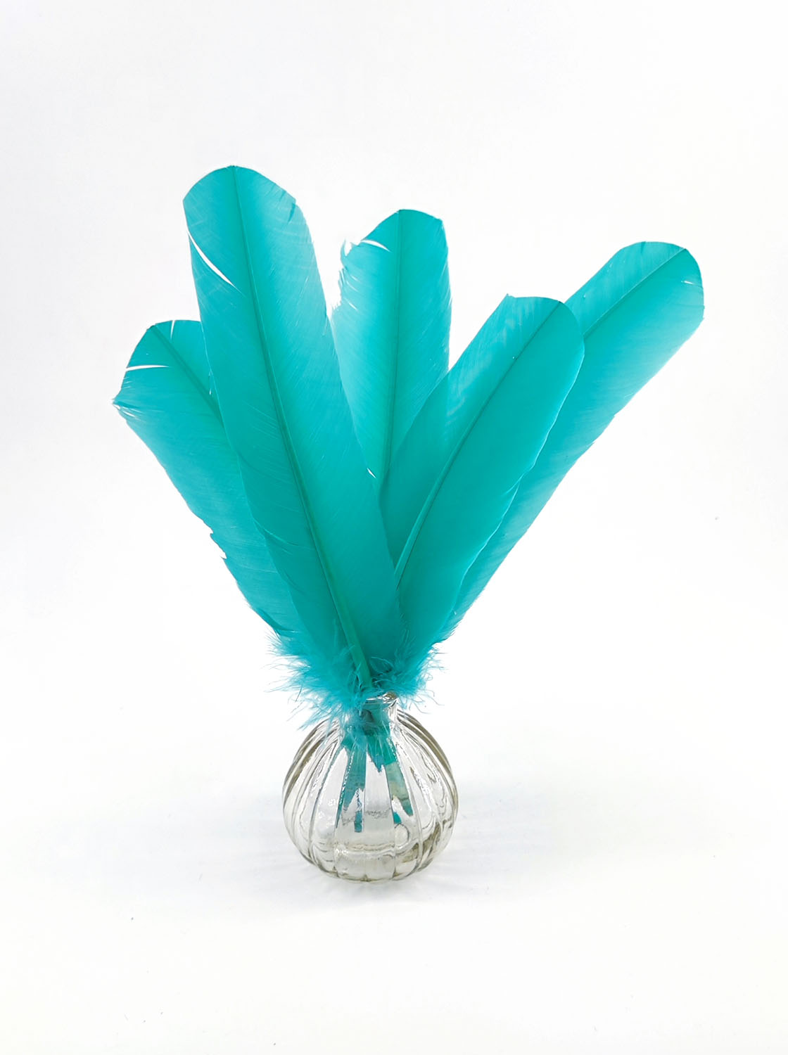 plume palette de dinde rigide vert emeraude