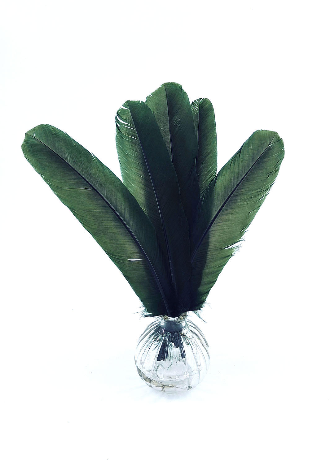 plume palette de dinde rigide vert fonce