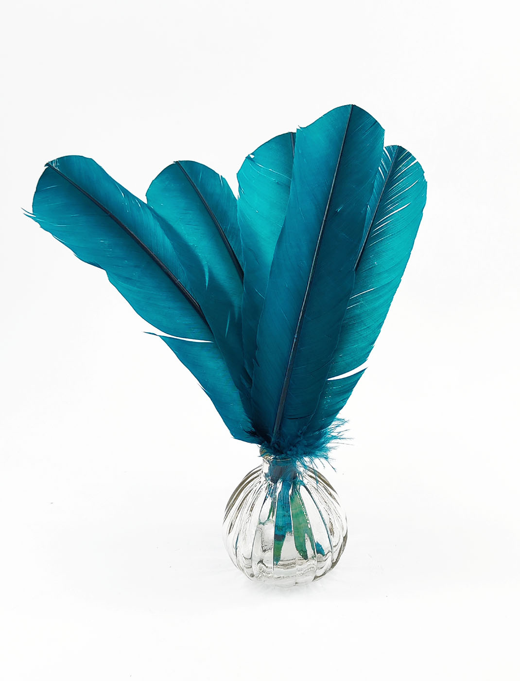 plume palette de dinde rigide bleu petrole