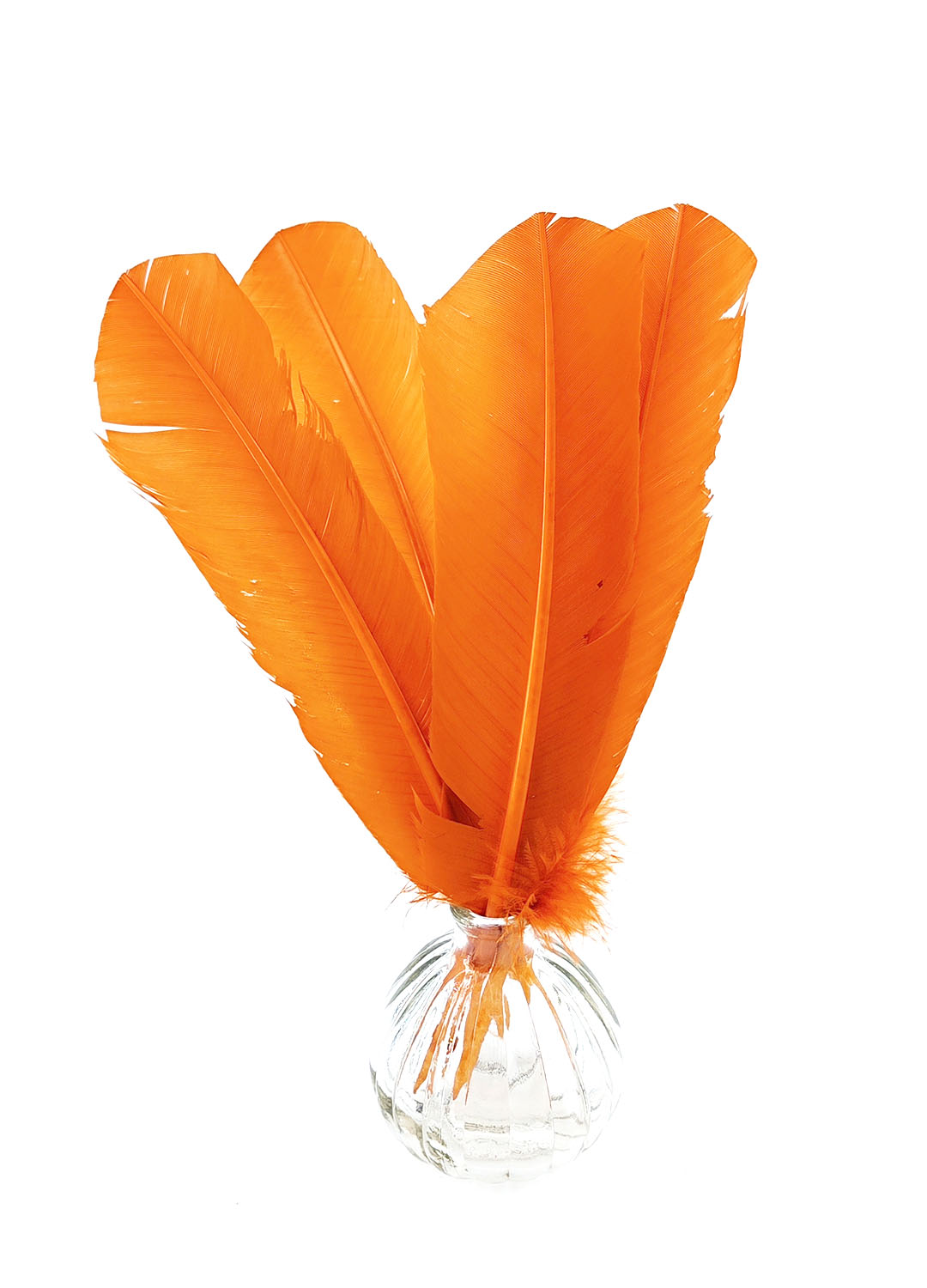 plume palette de dinde rigide orange