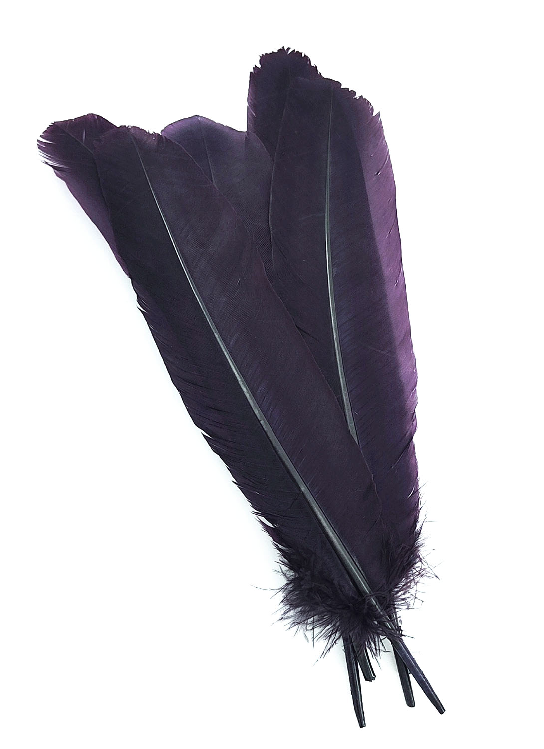 plume palette de dinde rigide violet fonce