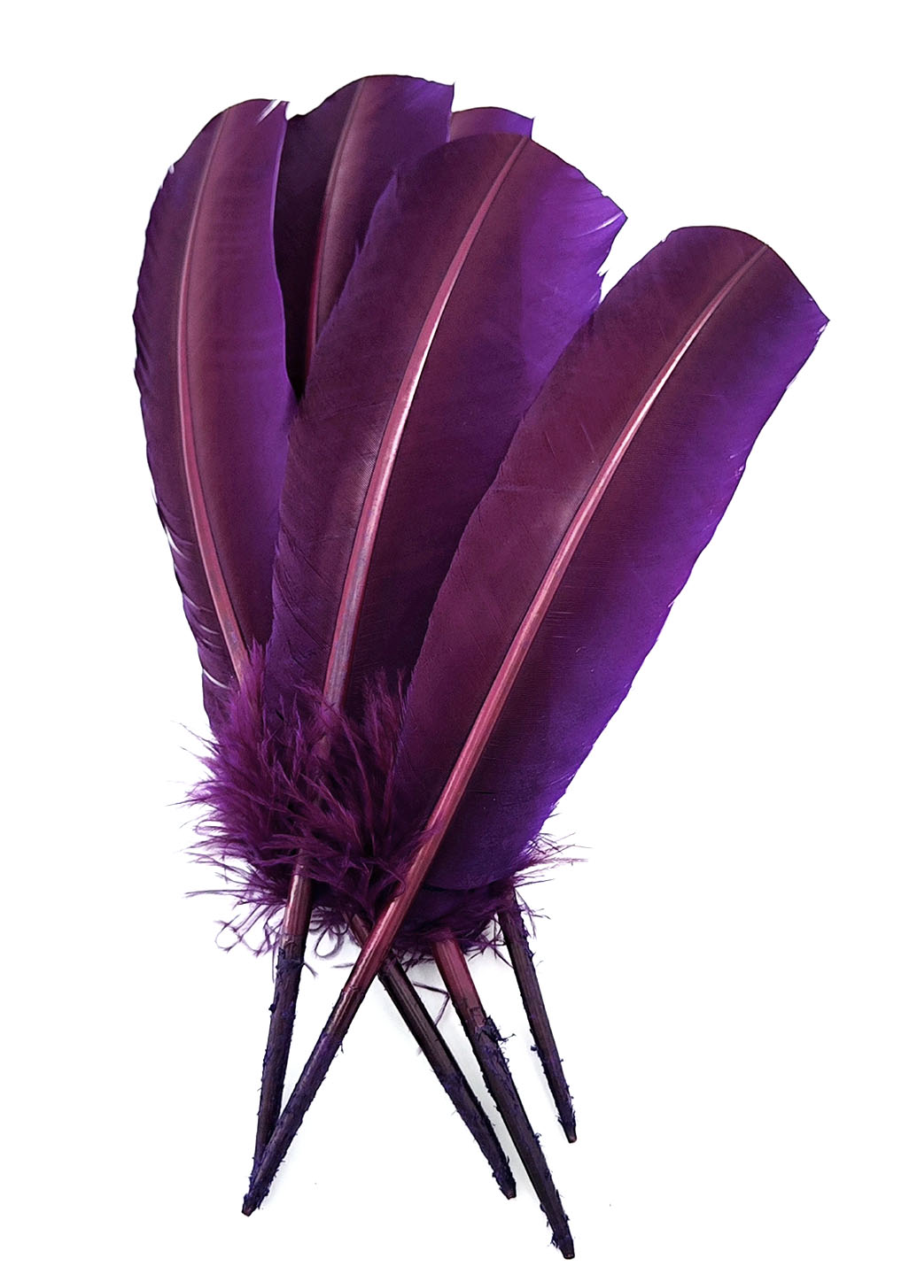 plume palette de dinde violet iris
