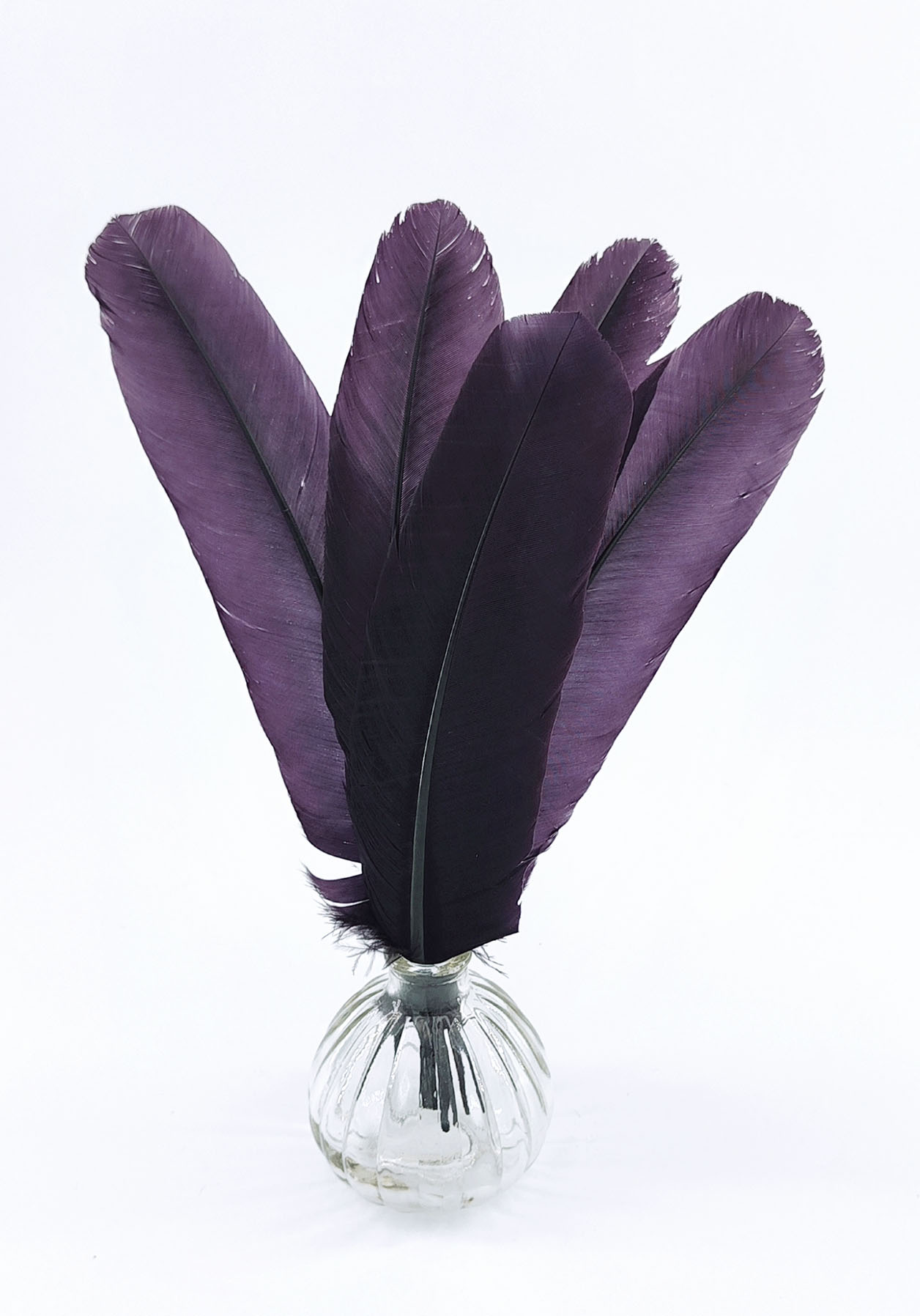 plume palette de dinde raisin