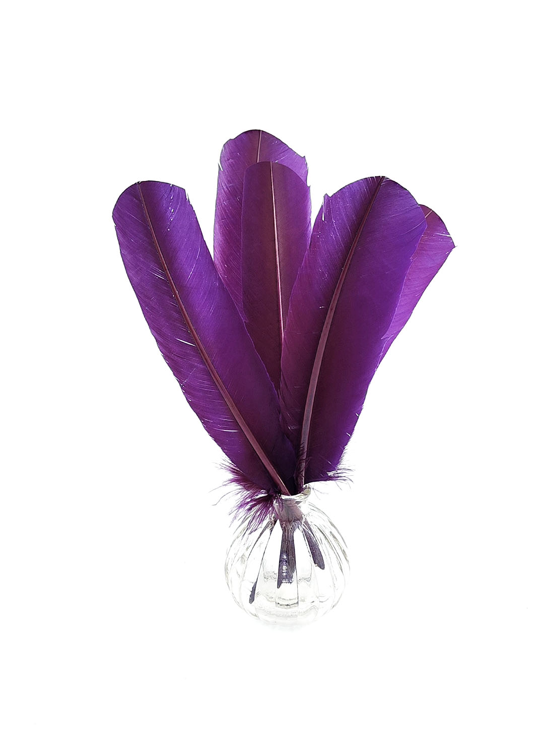 plume palette de dinde rigide violet iris