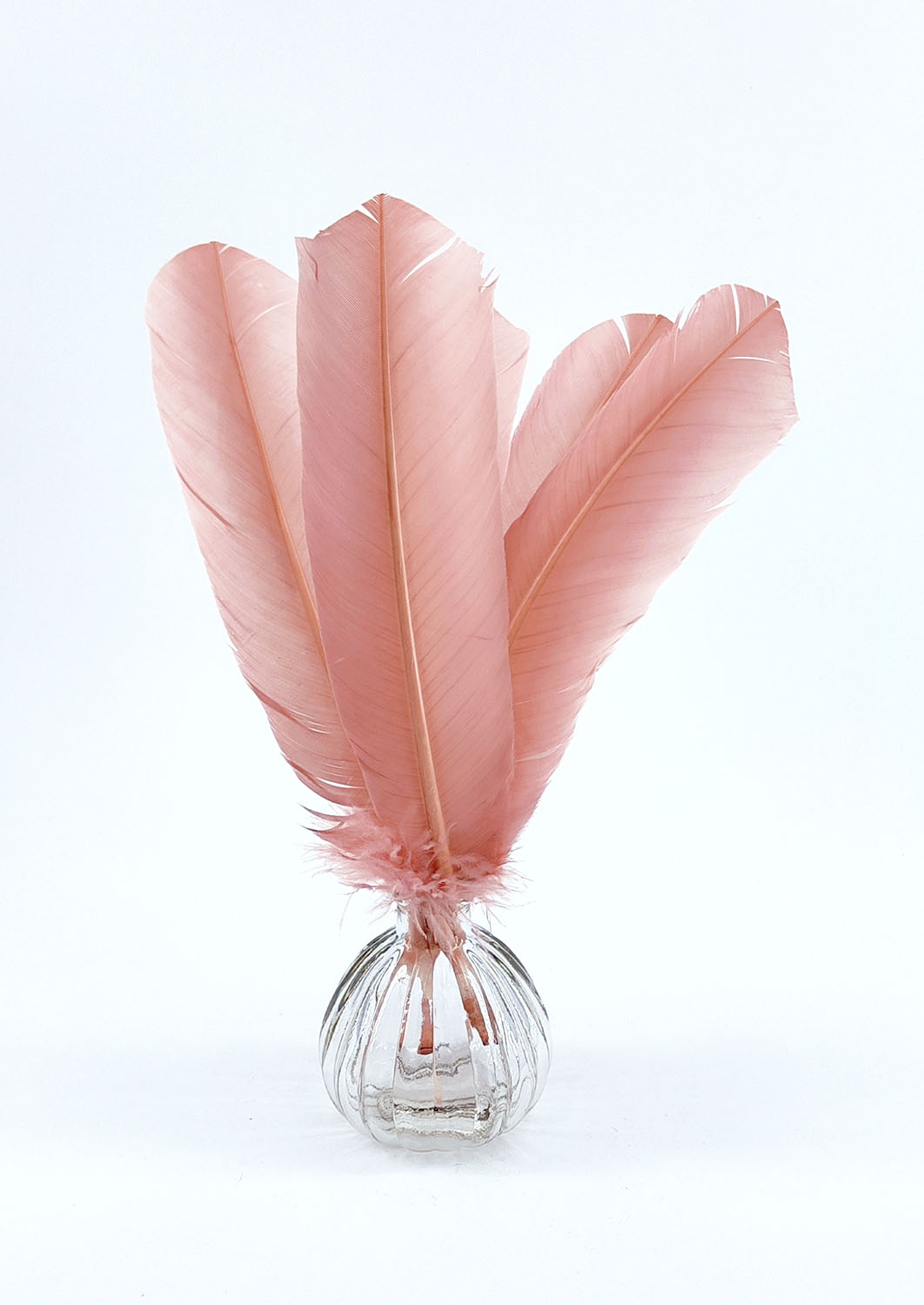 plume palette de dinde rose poudre