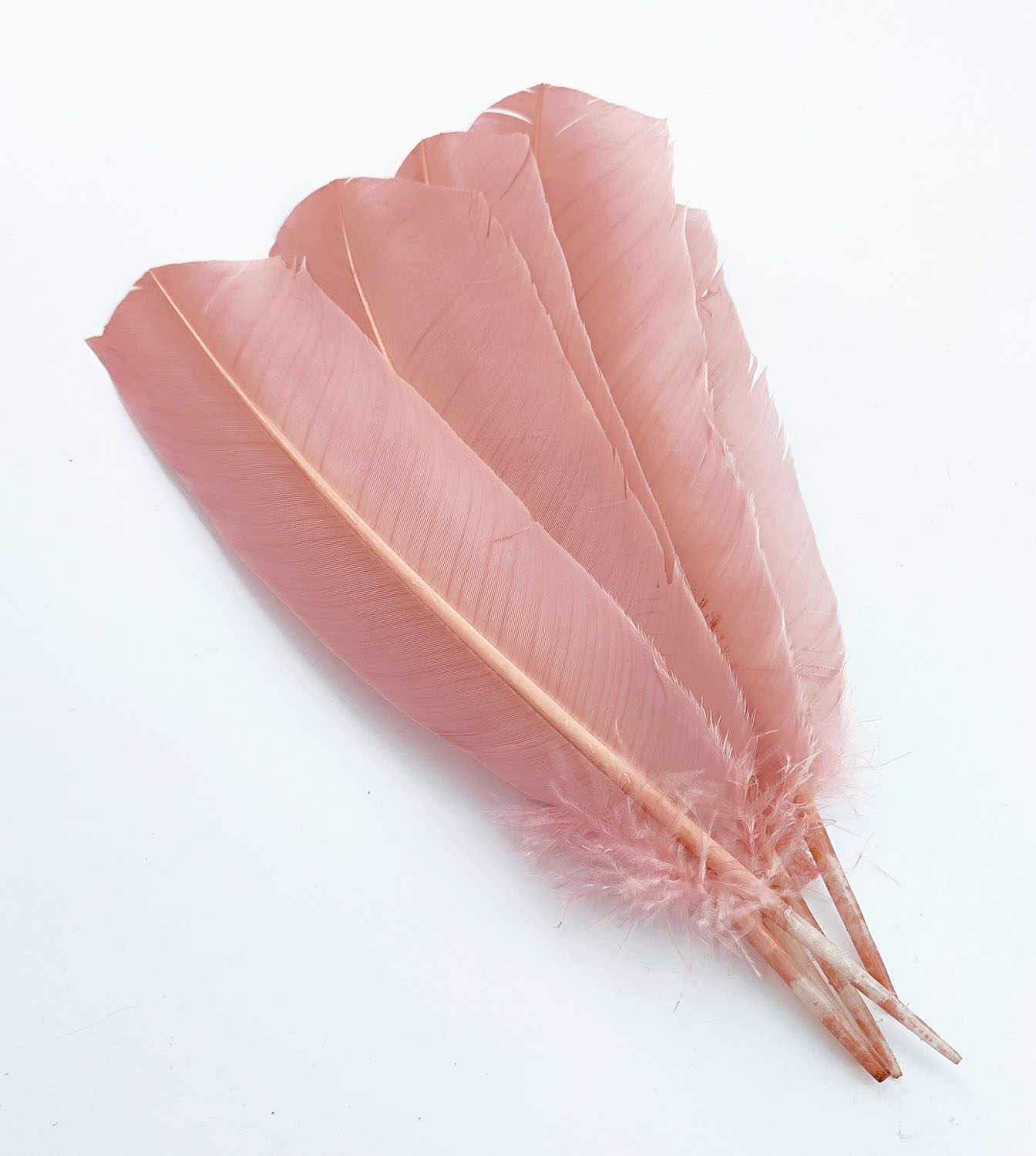 plume palette de dinde rigide rose poudre