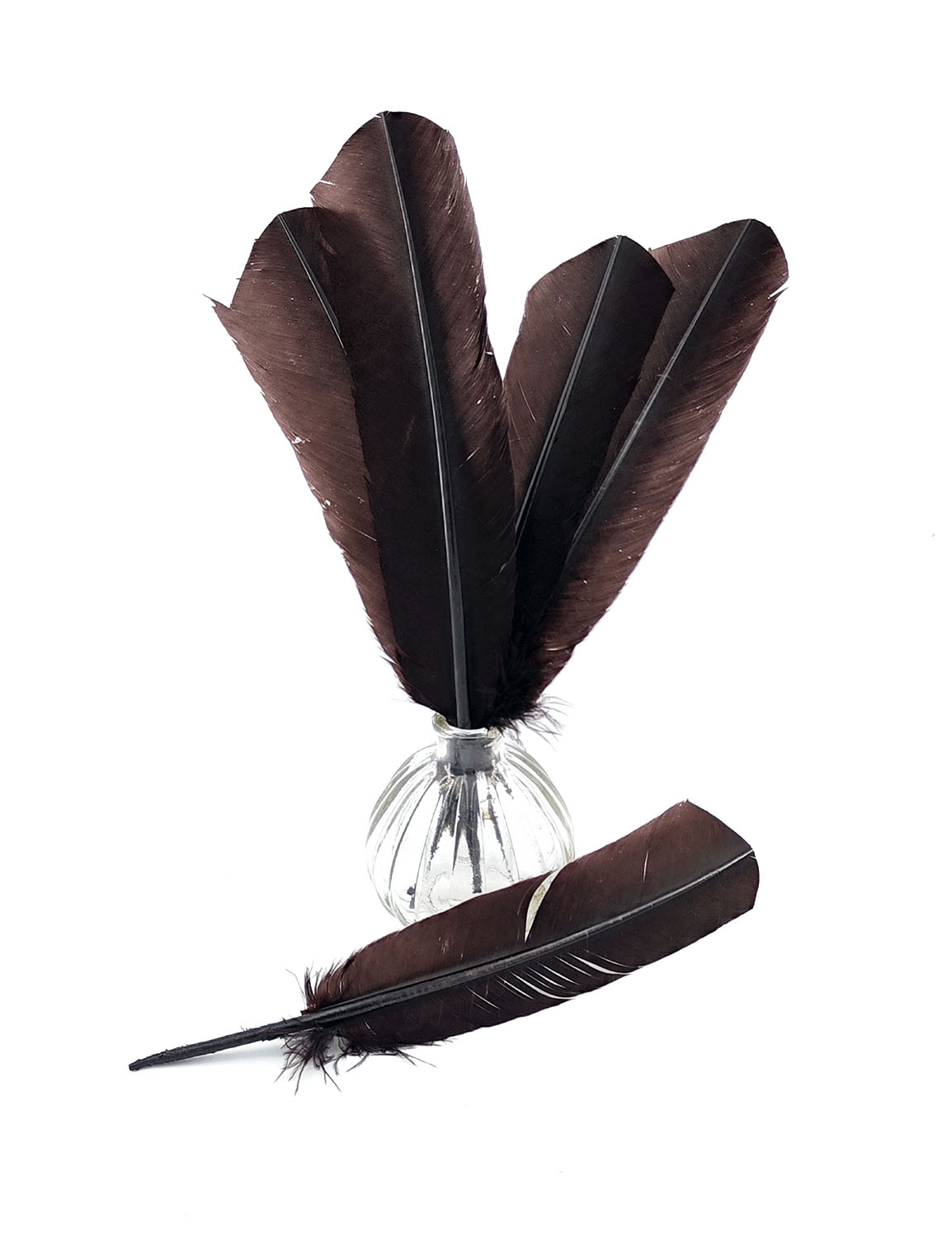 plume palette de dinde chocolat