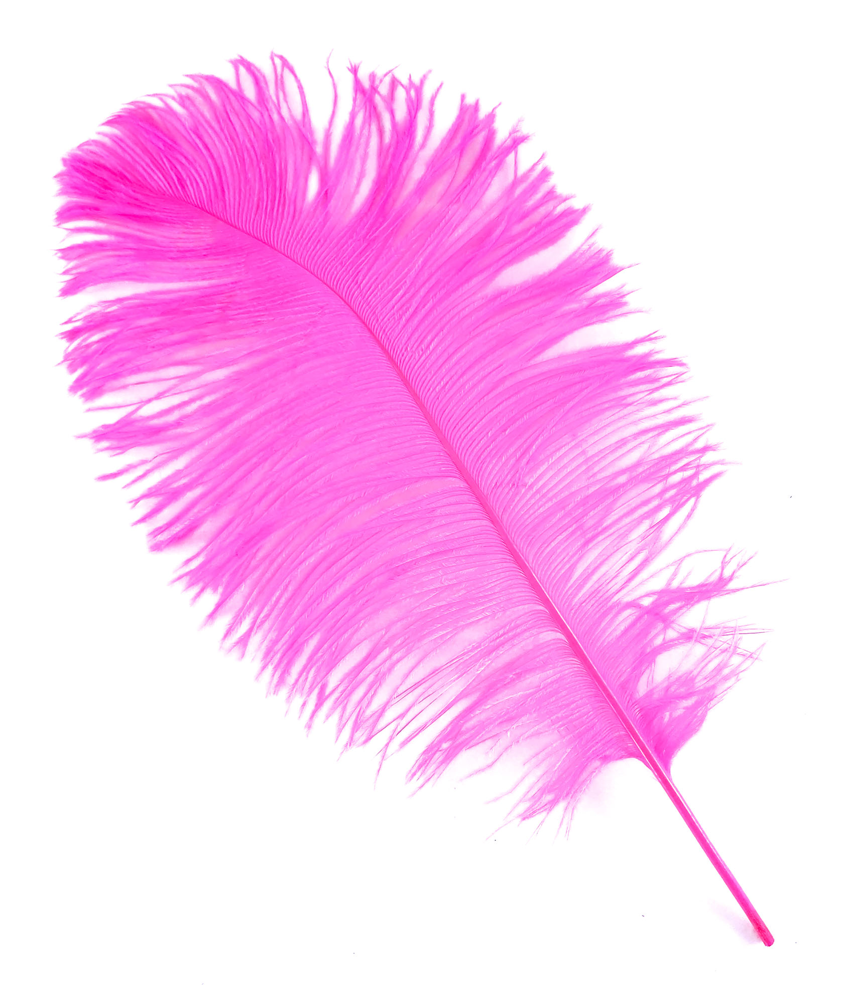 plume petite autruche rose fluo legere