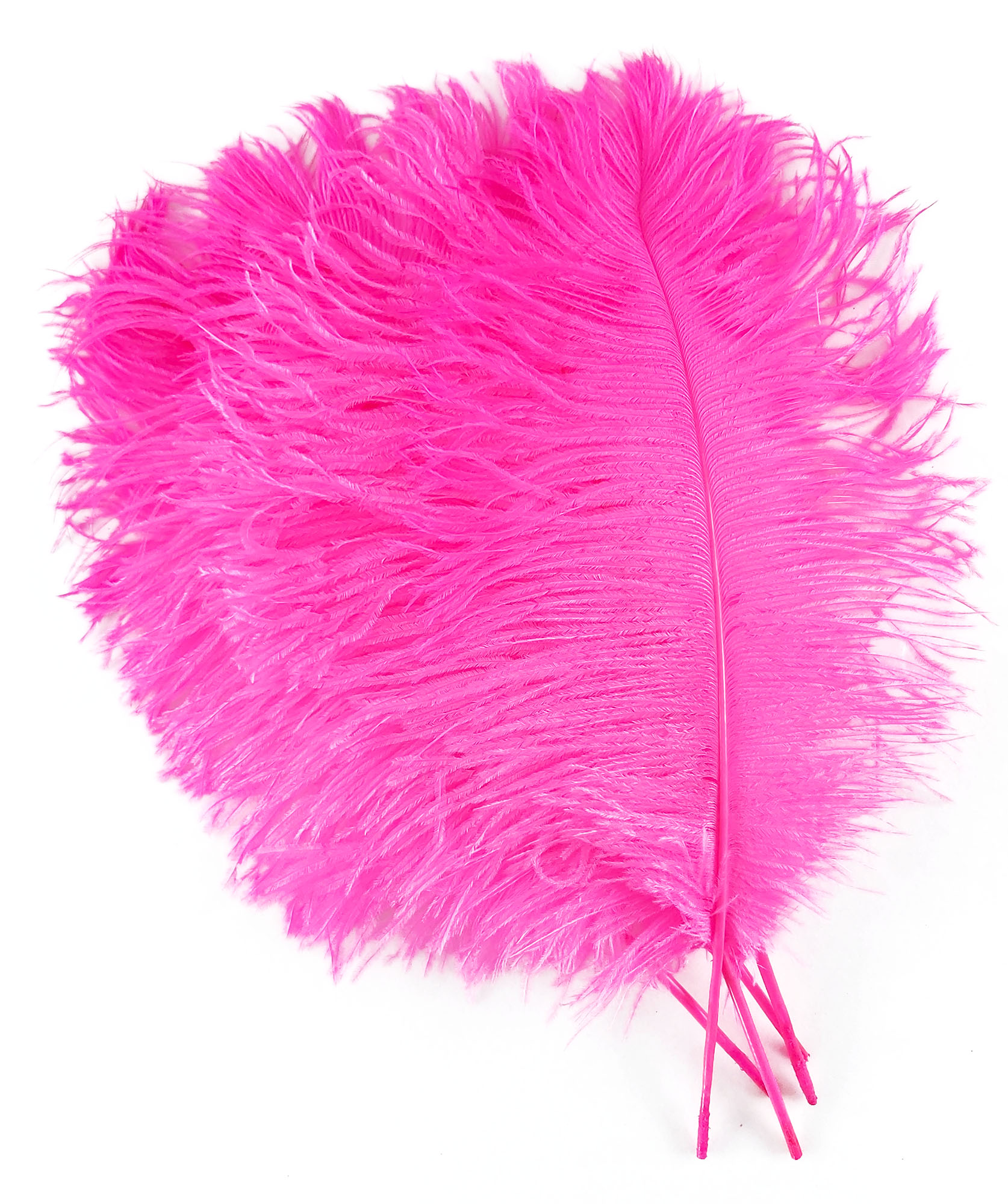 plume petite autruche rose fluo